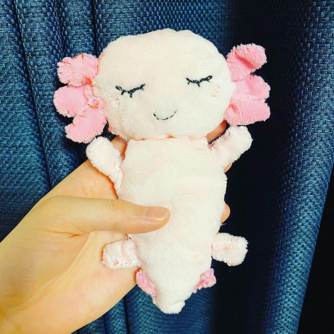 松田華音のインスタグラム：「妹がぬいぐるみを初めて作ってプレゼントしてくれました✨  7月9日の新潟でのコンサートにいらして下さった皆様、スタッフの皆様、ありがとうございました。久しぶりに素晴らしいホールで皆様に演奏を聴いて頂く事ができて本当に幸せでした。また皆様に演奏を聴いて頂ける日を楽しみにしております。皆様、どうかお気をつけてお元気でお過ごし下さい。」
