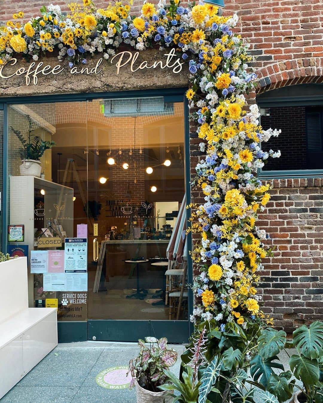 レオナ・ルイスのインスタグラム：「My little slice of heaven 🌻 @coffeeandplantsla」