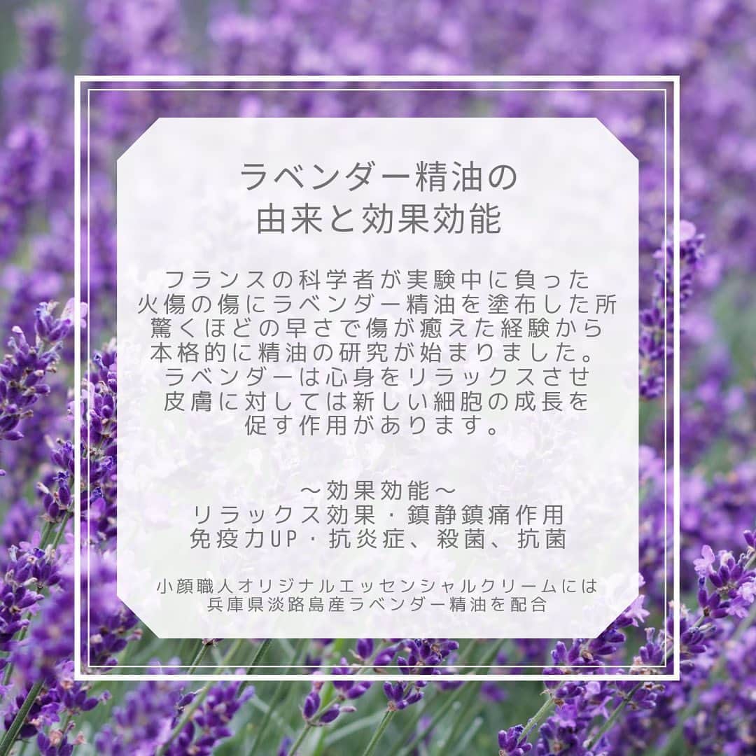 笑顔をリフォームする@健康小顔職人のインスタグラム：「． 去年のリポストですが @parusame315 さんのインスタ漫画をアップします！ ． 今年はプールや海に気軽に行けないし、長梅雨だったけど暦はすっかり7月が終わり8月になりました🌻 ． Japan女子達の永遠のテーマは美白と小顔ですよね。 ． 小顔職人のオリジナルクリームは日焼け後のお肌にもオススメです！ ． ラベンダーの精油は、火傷に大変効果があります。私も以前、ふとしてことで火傷を負った時に自分の作ったクリームに助けられました。火傷が痛くて明日は施術になるだろうか？！と、とても不安でしたが翌日「あれ？！何処が痛かったっけ？！」と思うほどです。火傷後も残りませんでした。 ． 皆さん、ご存知だと思いますが 『日焼けは火傷です！』 放っておいたらシミになります。シミ後を残さないためにも、しっかりした日焼け後のお手入れが必要です。それは、保湿と炎症を抑えること☝️ ． 小顔職人オリジナル『Happyエッセンシャルクリーム』はマッサージクリームだけではありません！あなたのお肌も守ります💕 ． エンジェルハーブパッド予約販売受付中❗️8/1より随時発送。クリームとのお得なセットもあります🎁 ． お買い求めは @happy_cosme_kogaoshokunin のプロフよりWEBページ🔗へ ． ． 世界中の皆様が安心して過ごせる日々が早く訪れますように🌈✨ ． ． #小顔職人のリフトアップクリーム  #小顔職人のマッサージクリーム #ラベンダーの効果効能 #ラベンダー #癒しだけじゃないラベンダーの力 #エンジェルハーブパッドで癒したい #日焼け #日焼け後のお手入れ  #ラベンダー #シミ予防 #シワのお手入れ #美白 #マッサージクリーム #国産エッセンシャルオイル #国産精油」