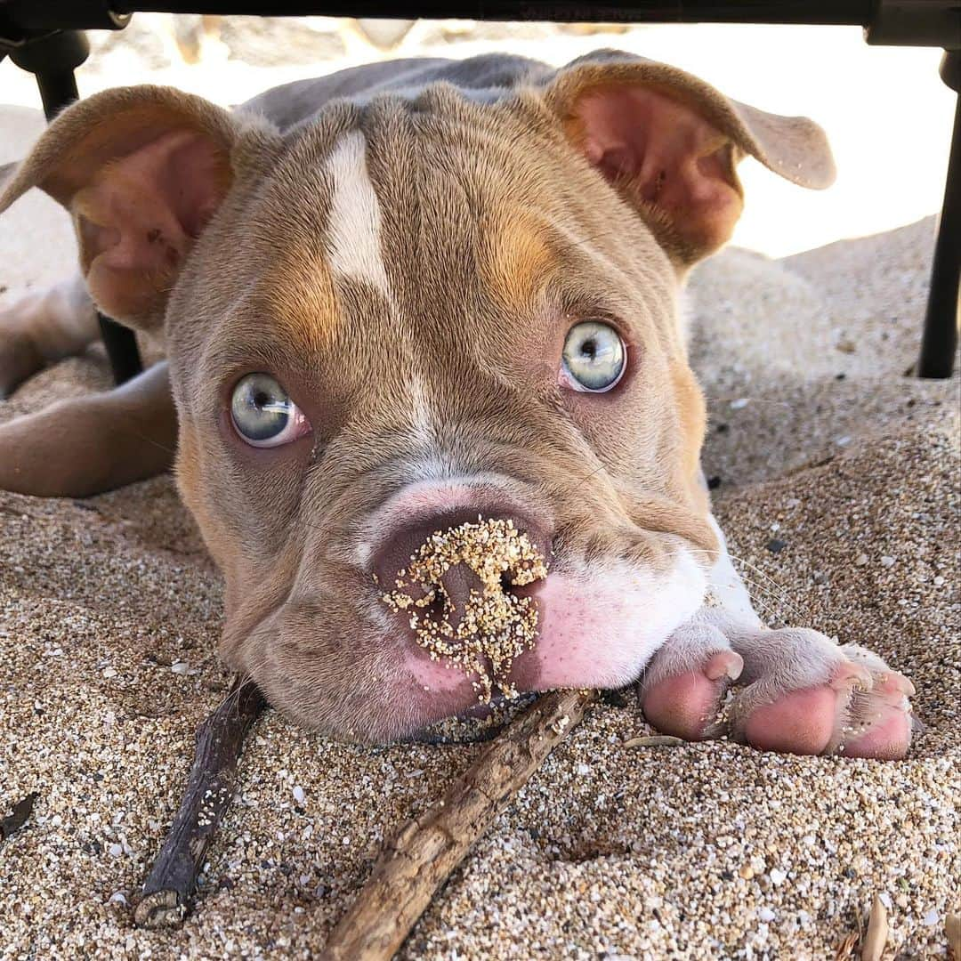 ケリア・モニーツさんのインスタグラム写真 - (ケリア・モニーツInstagram)「My first born loving the beach so far 🥰」8月1日 6時26分 - keliamoniz