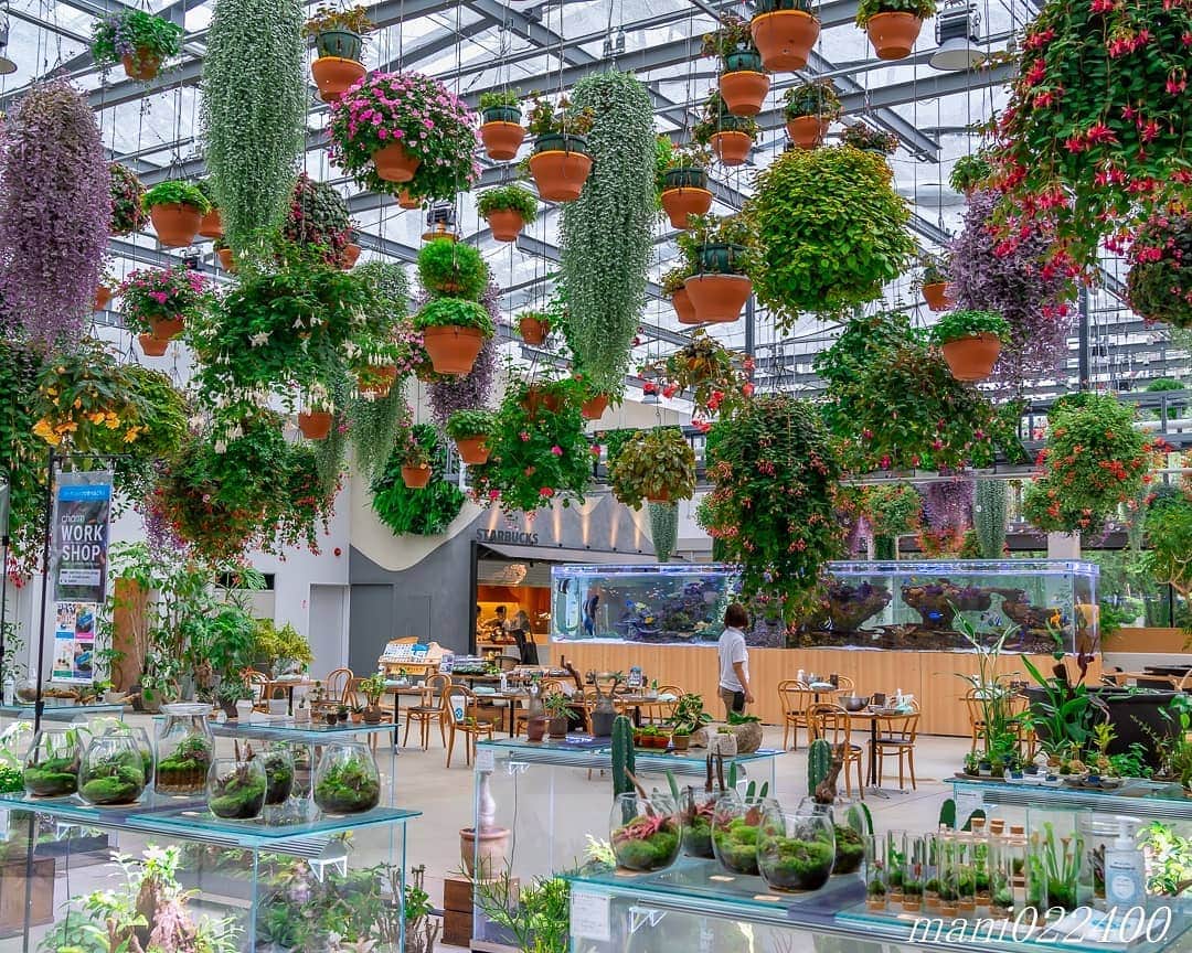 mani022400のグルメインスタ