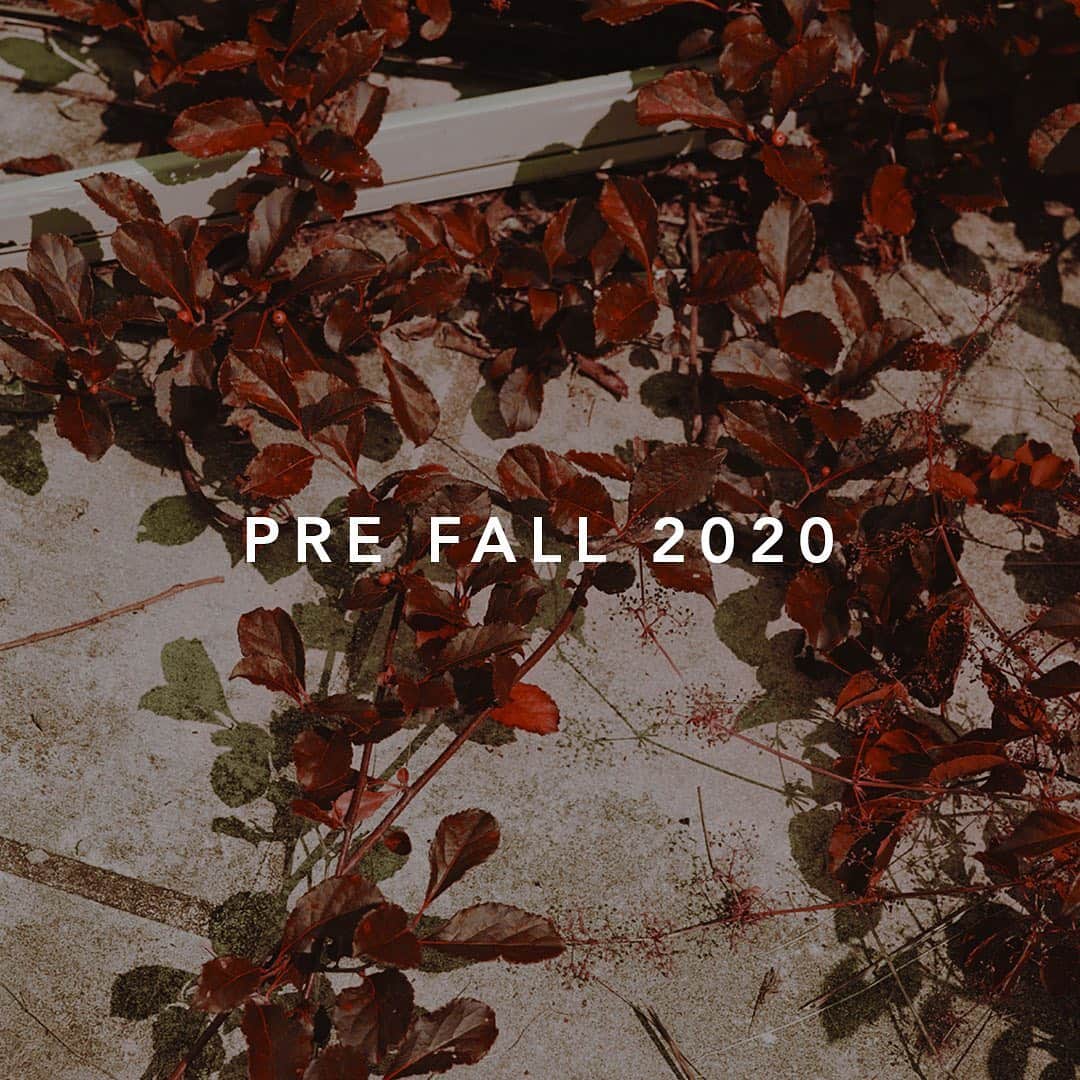 サムエデルマンのインスタグラム：「Introducing FORCES OF NATURE, our pre-Fall 2020 collection.  Now live on Samedelman.com  Inspired by the essential elements of Earth, Air, Fire and Water. Fashion is our fifth element, core to our brand this season.  #SamEdelman #FORCESOFNATURE #PreFall2020」