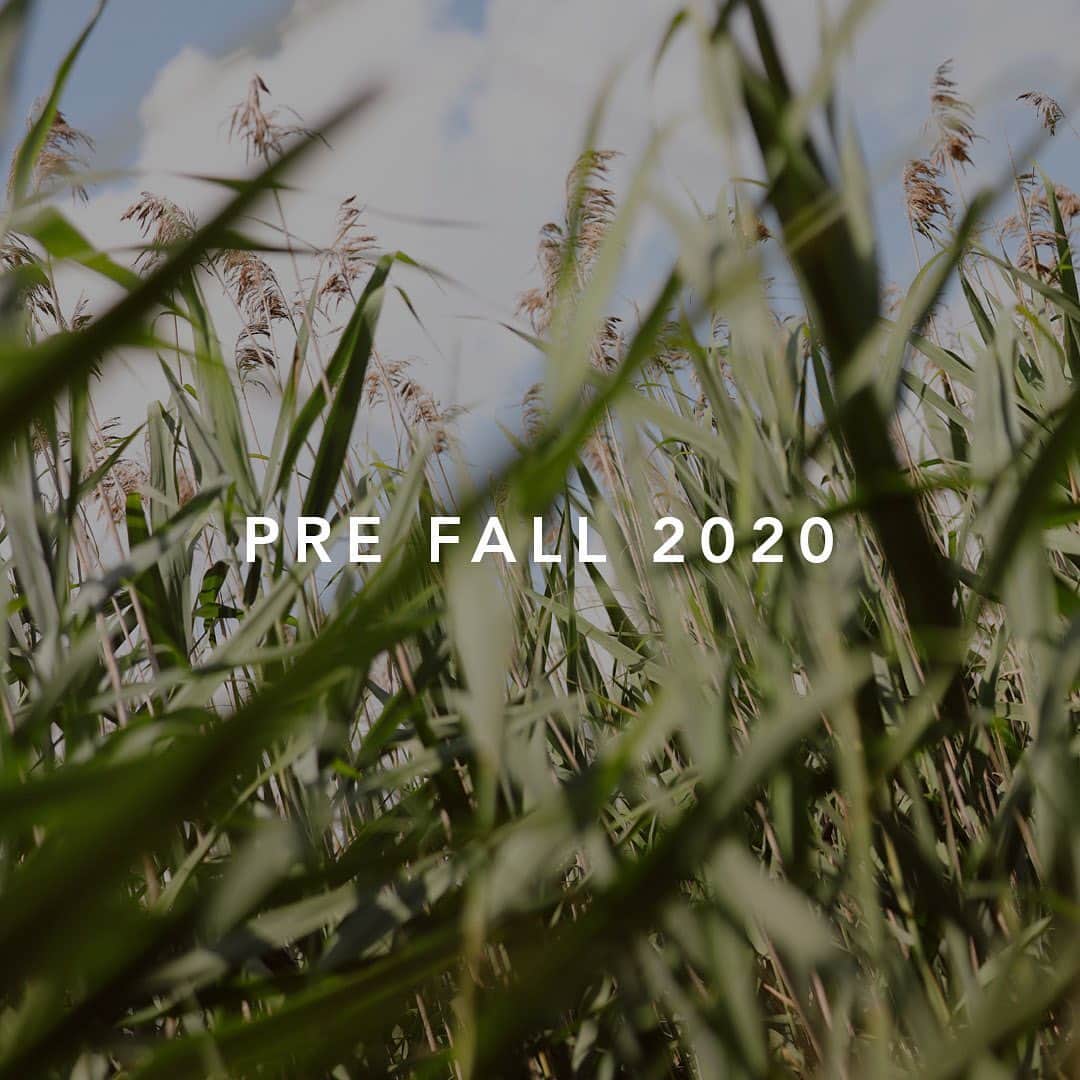 サムエデルマンのインスタグラム：「Introducing FORCES OF NATURE, our pre-Fall 2020 collection.  Now live on Samedelman.com  Inspired by the essential elements of Earth, Air, Fire and Water. Fashion is our fifth element, core to our brand this season.  #SamEdelman #FORCESOFNATURE #PreFall2020」