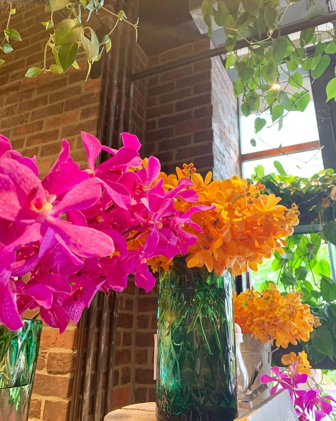 宮田綾子さんのインスタグラム写真 - (宮田綾子Instagram)「⁑ Colorful flowers Mokara 💐 南国気分になれるモカラ、可愛い カフェを帰る時にオレンジ色のをお土産で頂いたよ🧡  #花 #モカラ #mokara #青山フラワーマーケットティーハウス #青山フラワーマーケット #aoyamaflowermarket #aoyamaflowermarketteahouse #akasaka #赤坂 #赤坂カフェ #flowers #flowerstagram #flowerphotography #flowerlovers #花瓶 #花店 #花好き #花好きな人と繋がりたい #花が好き #はなすたぐらむ #はなのあるくらし #お花 #お花好きな人と繋がりたい #ピンク #オレンジ #pinkflowers #orangeflowers #花屋 #花屋カフェ #カフェ好き  ___________________★ ___________________﻿﻿﻿﻿ オンラインインスタコンサルティング  受付中 詳細は @ayako__miyata  ハイライトonline よりご覧ください﻿﻿﻿﻿ ___________________★ __________________」8月1日 8時13分 - ayako__miyata