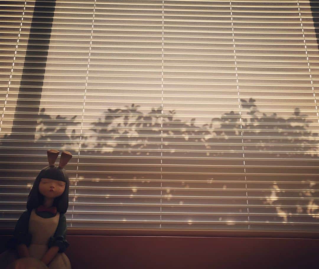 ジョリン・ツァイのインスタグラム：「🧚‍♂️🌅🧚🏼‍♀️」
