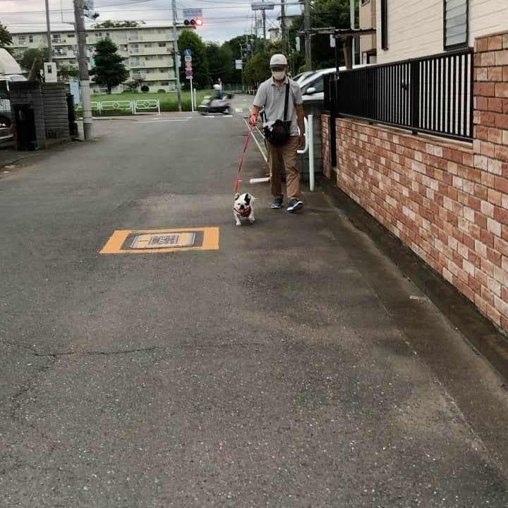 進藤やす子のインスタグラム