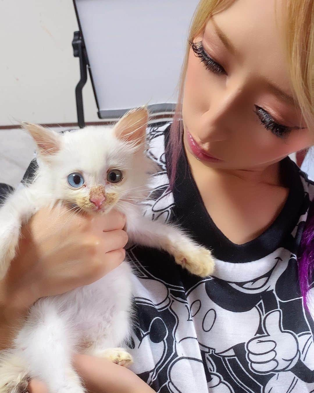 あきるなのインスタグラム：「今日はYouTubeで 姉が道の真ん中で保護した子猫について お知らせがあります。 . . . #多頭飼い #猫 #猫のいる暮らし #保護猫 #あきるな #ねこすたぐらむ #ねこ #ネコ #ぬこ #にゃんすたぐらむ #にゃんこ #子猫 #自撮り #キャバ嬢 #セルフィー #ギャル #セルフィー #ふわもこ部 #youtube #youtuber #cat #catlife #catstagram #catsofinstagram #selfie #me #japanesegirl #cute #catlover #baby #pregant」