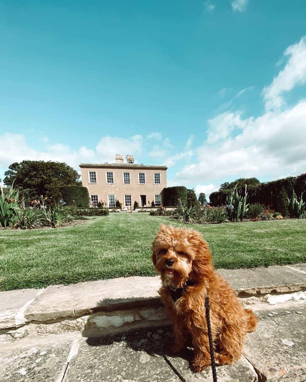 ルー・ティーズデールのインスタグラム：「Thanks for having us @langtonhallyorkshire 🐴」