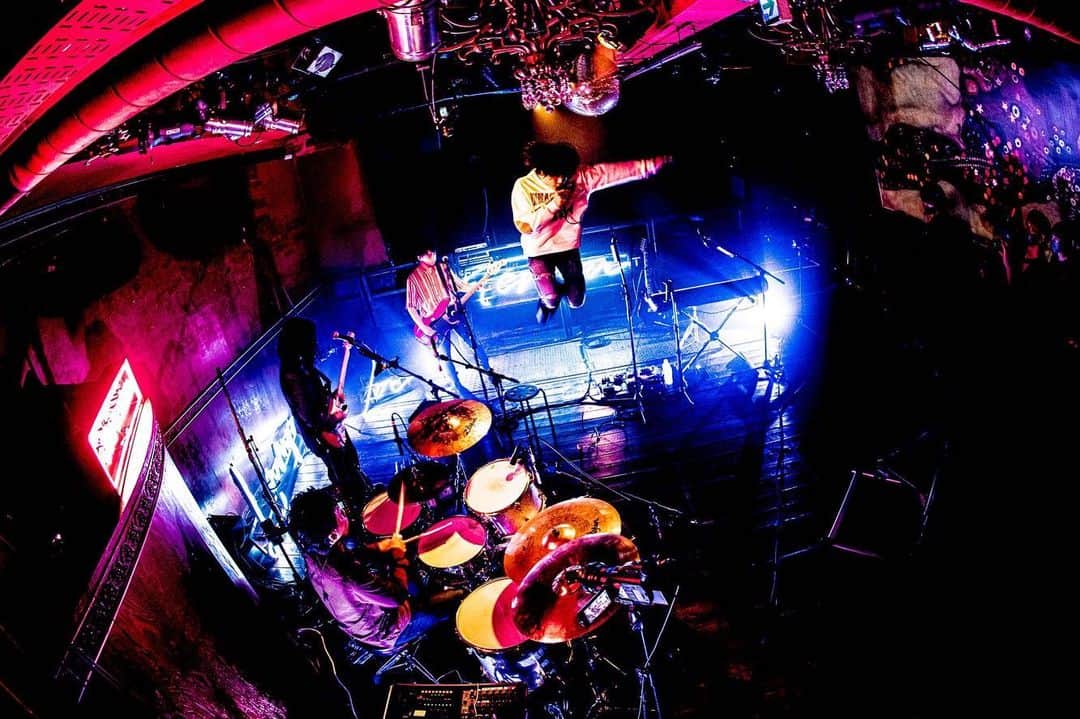 LAMP IN TERRENのインスタグラム：「2020.07.26(sun) 定期公演『SEARCH ONLINE』at 渋谷Star lounge  Dir. @yukiwakisaka   アーカイブ視聴は8月2日(日)23:59まで！  🎫▶︎ http://eplus.jp/lit0726st/  生配信トラブルがありましたが、当日TAKE2として始めから生配信!!(TAKE2をアーカイブ) そのメンバーのテンション含めてお楽しみください。  photo by @hamanokazushi」