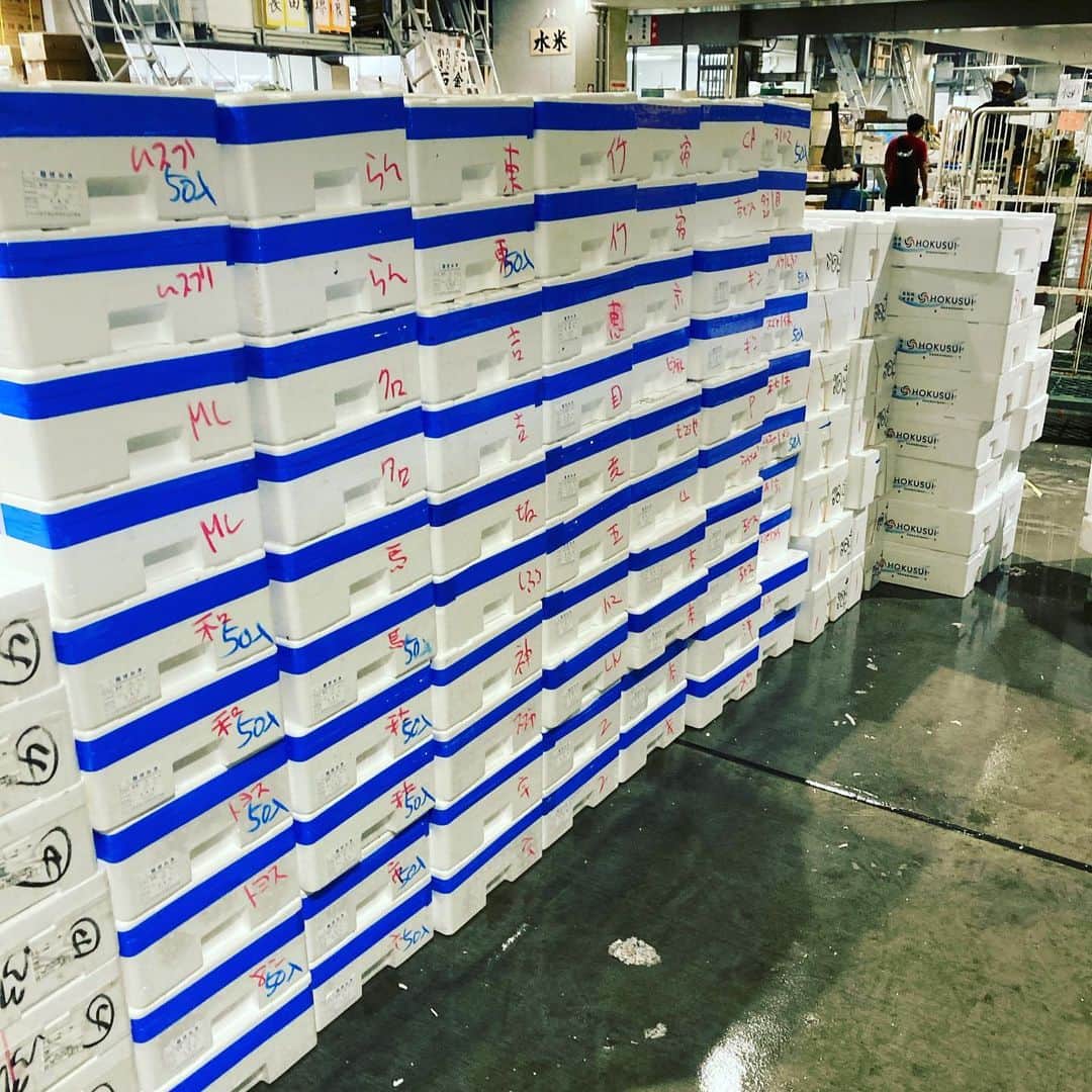 のインスタグラム：「8月1日の市場は魚も少なくなんとなく静かでした…  そんな時でもしっかり鮮魚買い揃える！魚金プライドです 鳥取の鯵もやはりコロッとしていていい感じ カツオが今日は無かったので残念ですが北海道のホッキ貝ちょっと大きめ買ってみました！同じく北海道の活けのタコ足もビンビン！岩手のサゴチも綺麗な皮目してました  本日より夏休みのご家庭も多いと思います お昼からのお食事やちょい飲みに是非とも魚金をご利用下さい！ 来週より宮城県さんのさんまをどこよりも早く安くランチで提供致しますのでお楽しみに！  仕入部　片之坂 #フェス#新橋#玉子#居酒屋#銀座#京橋#さんま#海鮮丼#刺身#吉祥寺#オイスター#池袋#さんま#鶴屋町#刺身盛り合わせ#パエリア#渋谷#魚好きと繋がりたい #レモンサワー#ウニ#神楽坂#横浜グルメ#飲酒タグラム #野菜たっぷり#日本酒好きな人と繋がりたい #どんぶり#うなぎ#ステーキ#金目鯛 #yummy」