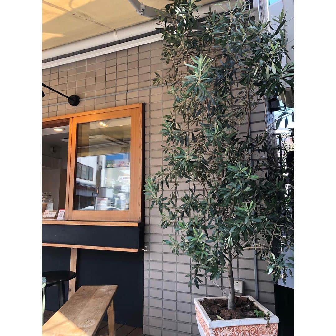 TRICHROMATIC COFFEEのグルメインスタ