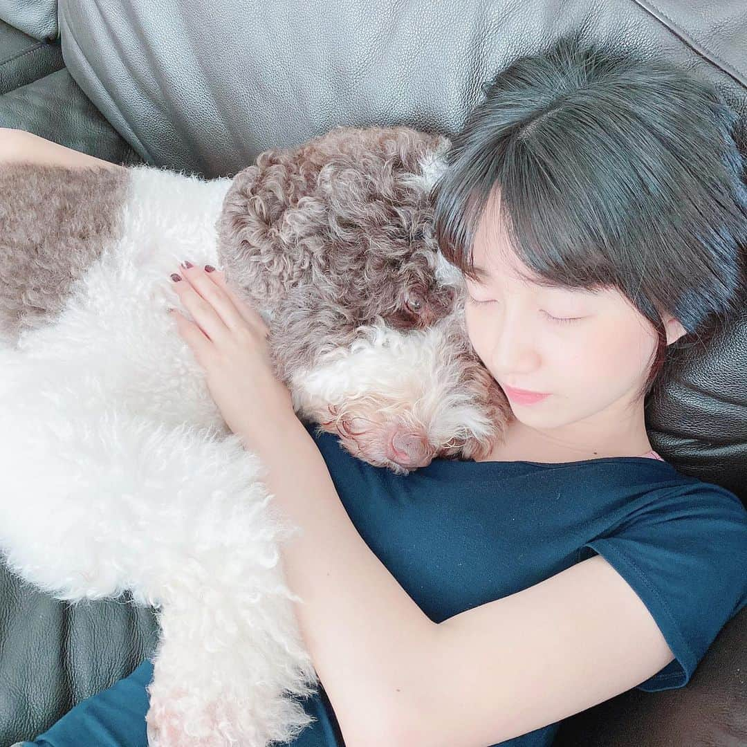 木村心美さんのインスタグラム写真 - (木村心美Instagram)「✨🤍💎 Yesterday’s sunset was so pretty!  ・ Sleepy 😚. Cuddle time with Eto ・ エト君とハグハグタイムしました。 ・ #staysafe」8月1日 11時39分 - cocomi_553_official