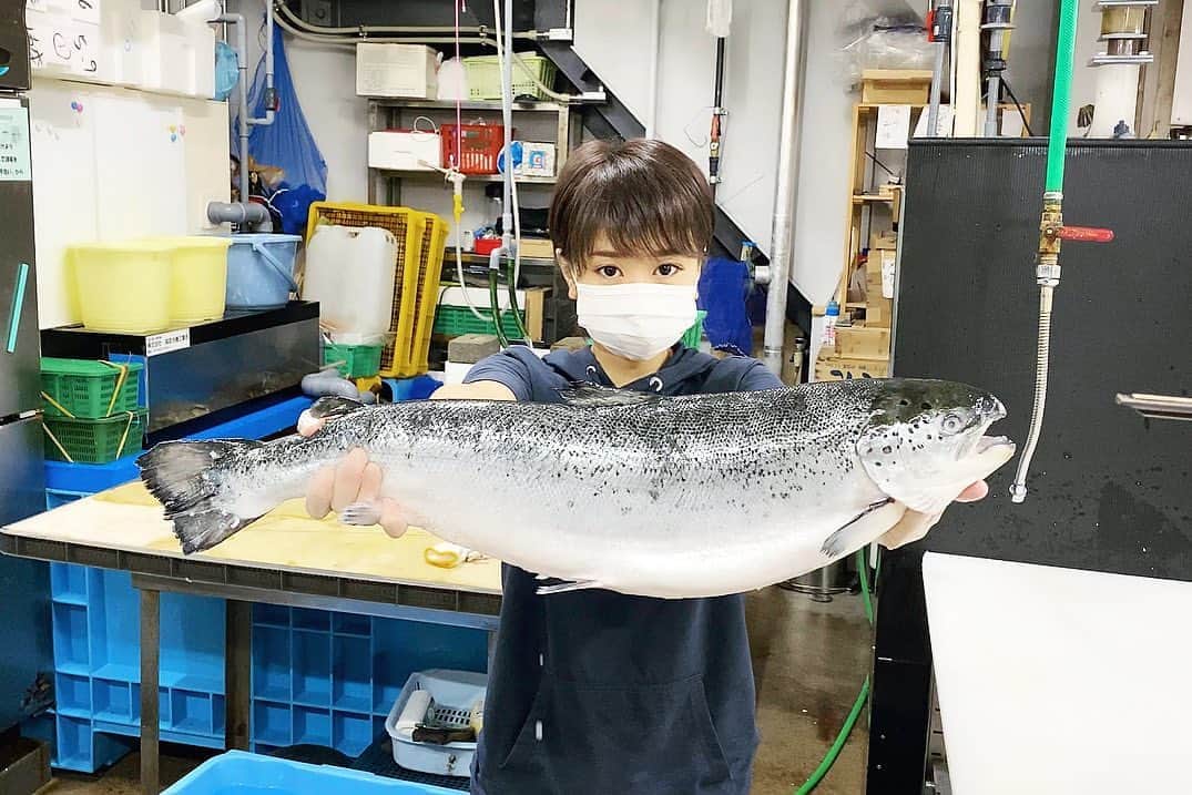 スーパーナブラのインスタグラム：「． ． 腹ぱんぱん！ 今夜はノルウェーサーモンです🐟 ． サーモンはライブで何回もやってますが 大好きすぎてまた買ってしまうのです😊 半身はサーモン丼でなくなるかな😅 ． サーモン釣りやりたいですね🎣 ． シムスの装備で 海外でサーモンやってるアングラー見ると ほんとドキドキするし 問答無用で大好きになる💓 ． わたしの相棒ブーツ 10年選手まであと少しです✨ ． ． 🐟お知らせ🐟 【今夜21時00分】 スーパーナブラチャンネルで 生配信ライブをさせていただきます✨ ． ． #サーモン#鮭#海鮮丼#刺身 #飛行機#温泉#旅館#ホテル#和食#鮭 #グルメ#露天風呂#足湯#GW#車中泊 #景色#釣り#ブラックバス#バス釣り #発見#おでかけ#女子旅#ツーリング #自然#釣り#釣りガール#YouTube #旅行好きな人と繋がりたい」