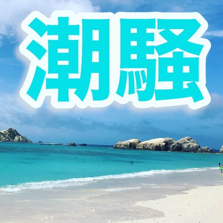 中野耕史さんのインスタグラム写真 - (中野耕史Instagram)「‪夏の昼休みに約1分間のリフレッシュ🌴‬  ‪YouTube新作UPしました🎥‬  ‪心を伝える日本語 #19 潮騒 https://youtu.be/l2t0qvHR7f4 @YouTubeより‬」8月1日 11時56分 - nakanocozy