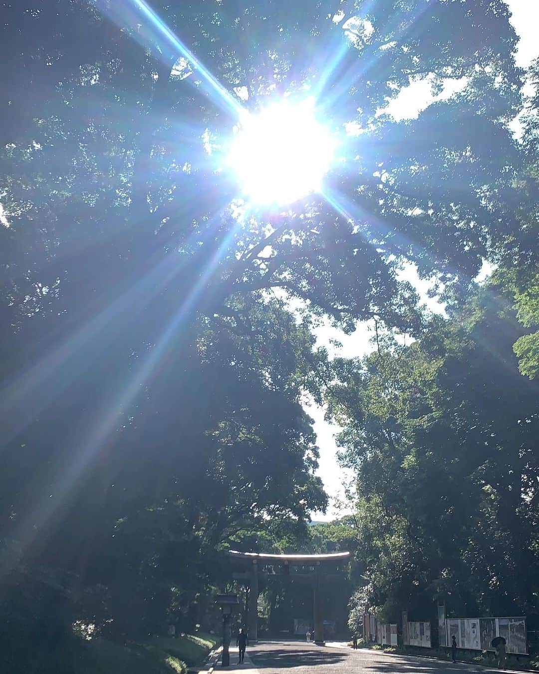 AYUMIさんのインスタグラム写真 - (AYUMIInstagram)「清々しい朝💫 梅雨から夏へ季節が変わる瞬間を 感じさせてもらいました✨ . . #今日という日にも感謝して」8月1日 12時00分 - ayumiayunco