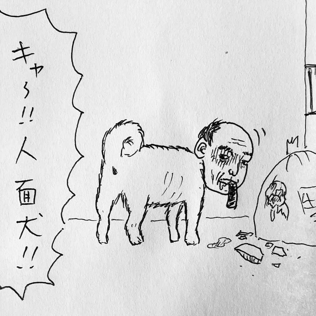 新山大さんのインスタグラム写真 - (新山大Instagram)「ゴミは収集日の朝に出しましょう。 #三コマ漫画 #3コマ漫画 #一日一作品 #97作品目 #あんまりピンとこない動物」8月1日 12時38分 - dai_niiyama