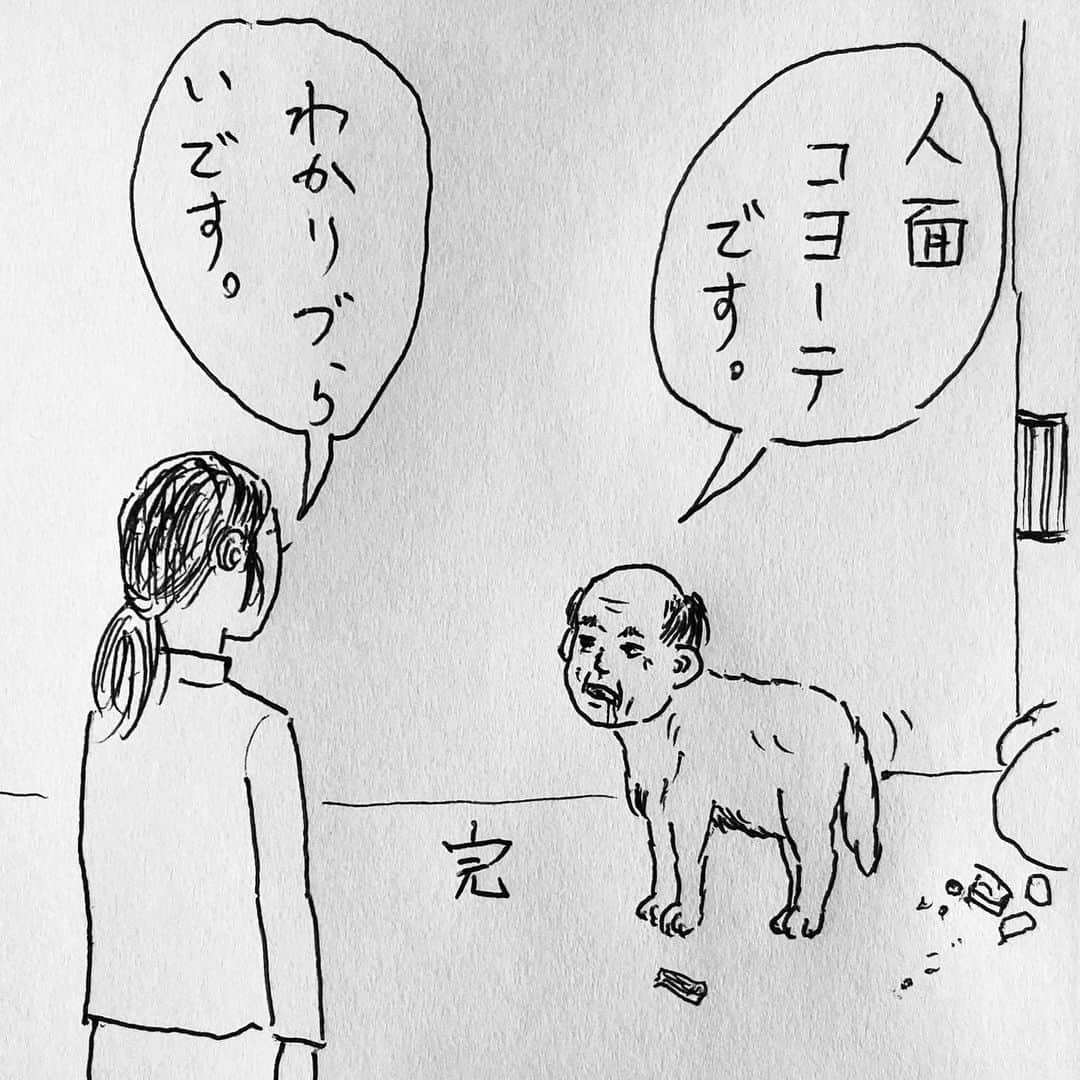 新山大さんのインスタグラム写真 - (新山大Instagram)「ゴミは収集日の朝に出しましょう。 #三コマ漫画 #3コマ漫画 #一日一作品 #97作品目 #あんまりピンとこない動物」8月1日 12時38分 - dai_niiyama