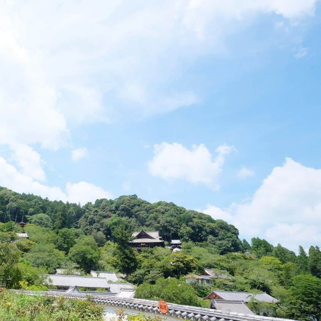 奈良 長谷寺 / nara hasederaさんのインスタグラム写真 - (奈良 長谷寺 / nara hasederaInstagram)「#源氏物語 の#玉かづら に見る、#二本の杉  当時この道がおもての参道  This is the place that appears in The #TaleofGenji .  About 1000 years ago this road was the main approach.  #長谷寺 #奈良長谷寺 #総本山長谷寺 #花の御寺 #奈良 #hasedera #hasederatemple #temple #japan #japanesetraditional #pilgrimage #nara #tourism #sightseeing #japanesetemple #西国 #西国三十三所 #霊場 #巡礼 #四寺巡礼 #長谷寺が好き」8月1日 13時10分 - hase_dera