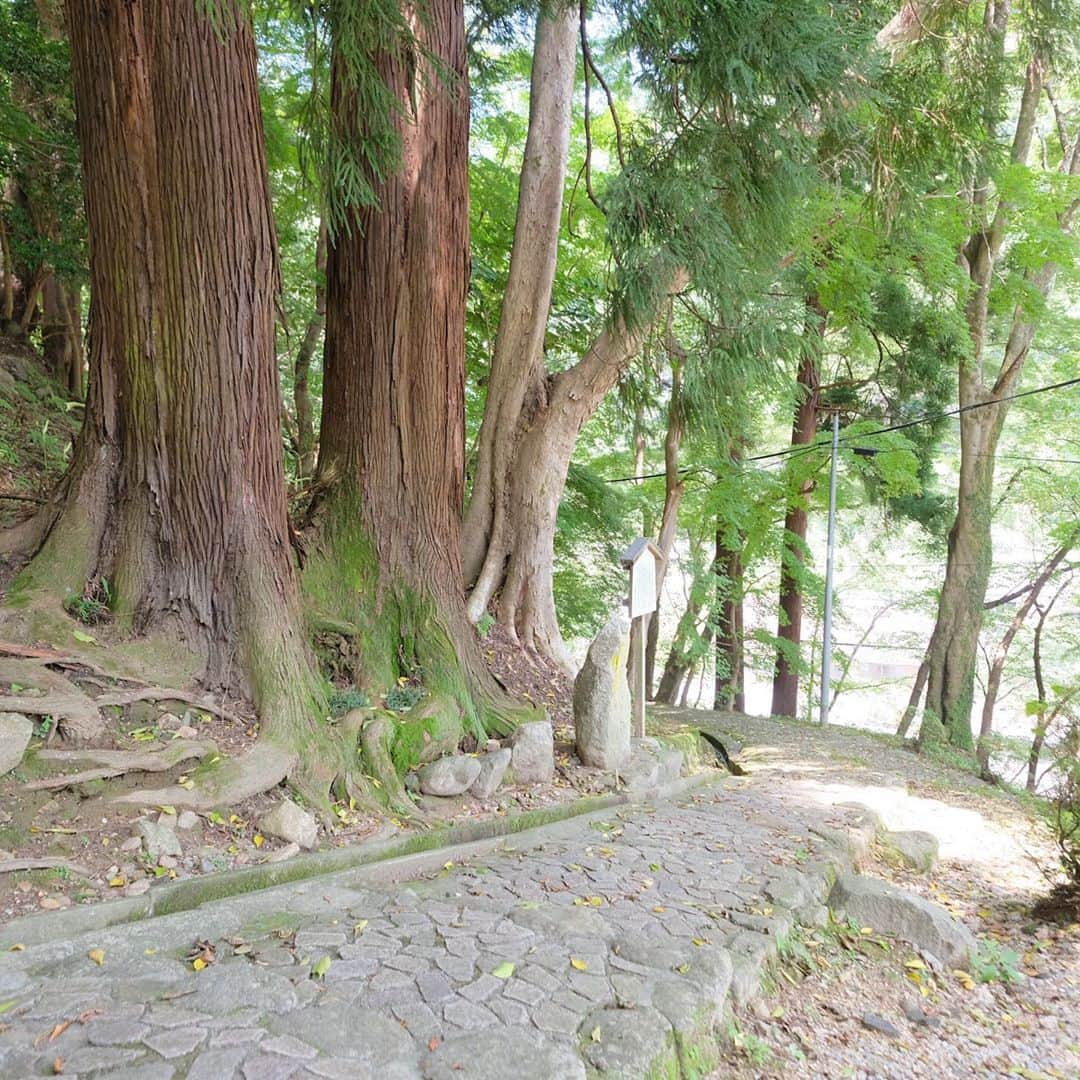 奈良 長谷寺 / nara hasederaのグルメインスタ