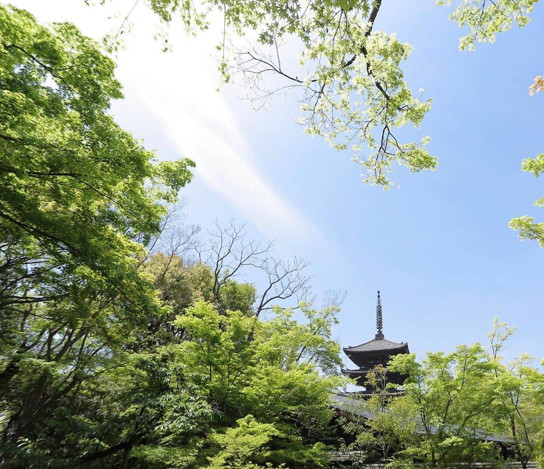 THE SODOH OFFICIALのグルメインスタ