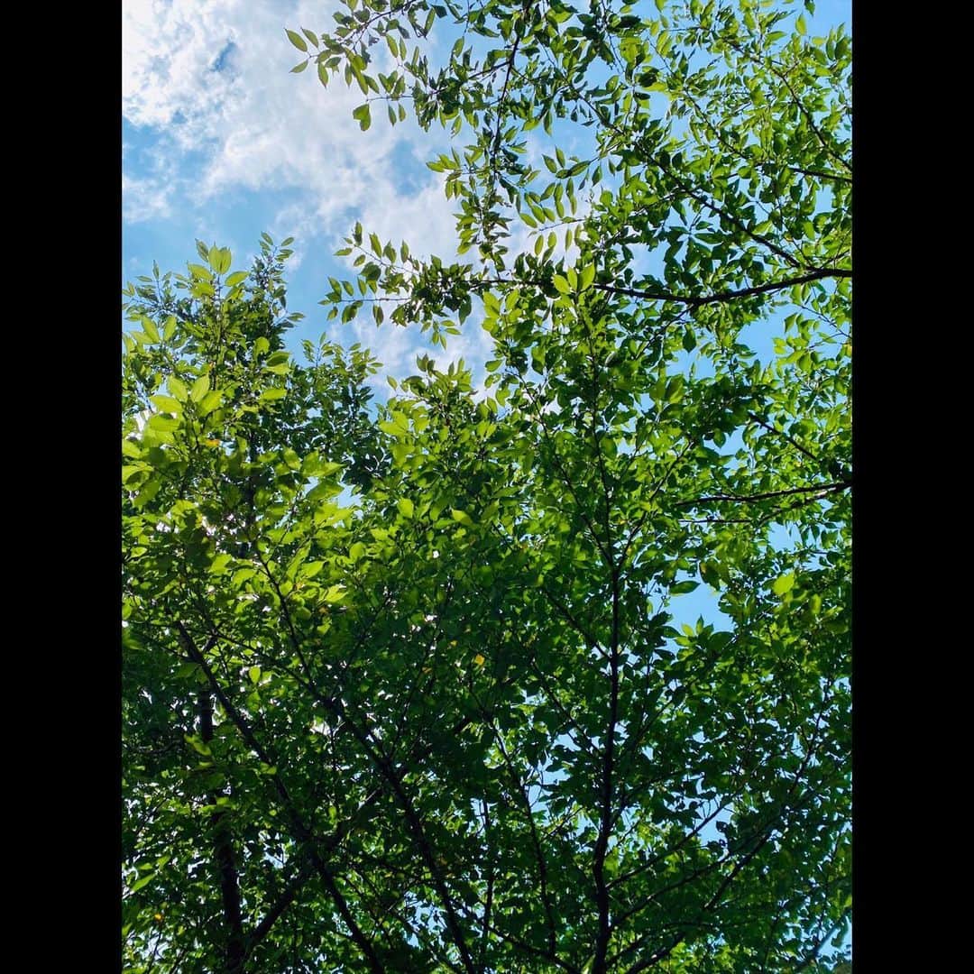 木村拓哉さんのインスタグラム写真 - (木村拓哉Instagram)「﻿ ﻿ 「8月に入り、空もいきなり勢いがある感じです‼︎﻿ 今日から、夏休み。﻿ そして、お盆にも入りますね。﻿ 自分も気を付けますが、皆さんも、ウィルス感染や熱中症には十分に気を付けて下さい。」﻿ ﻿ STAY SAFE‼︎﻿ ﻿ 拓哉﻿ #木村拓哉#TakuyaKimura」8月1日 13時59分 - takuya.kimura_tak