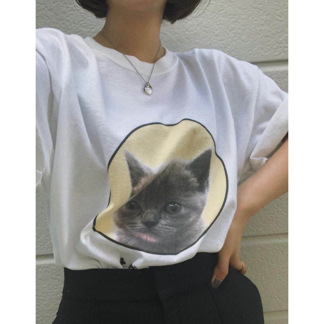 水嶋いとさんのインスタグラム写真 - (水嶋いとInstagram)「・ ゆるい猫がとても可愛いでしょ🐾 愛着湧いちゃう、お気に入り〜！ ・ ・ ・ #ベナレス #ベナレスt #benares  #白t #tシャツ #ビッグt」8月1日 14時55分 - ito_mizushima