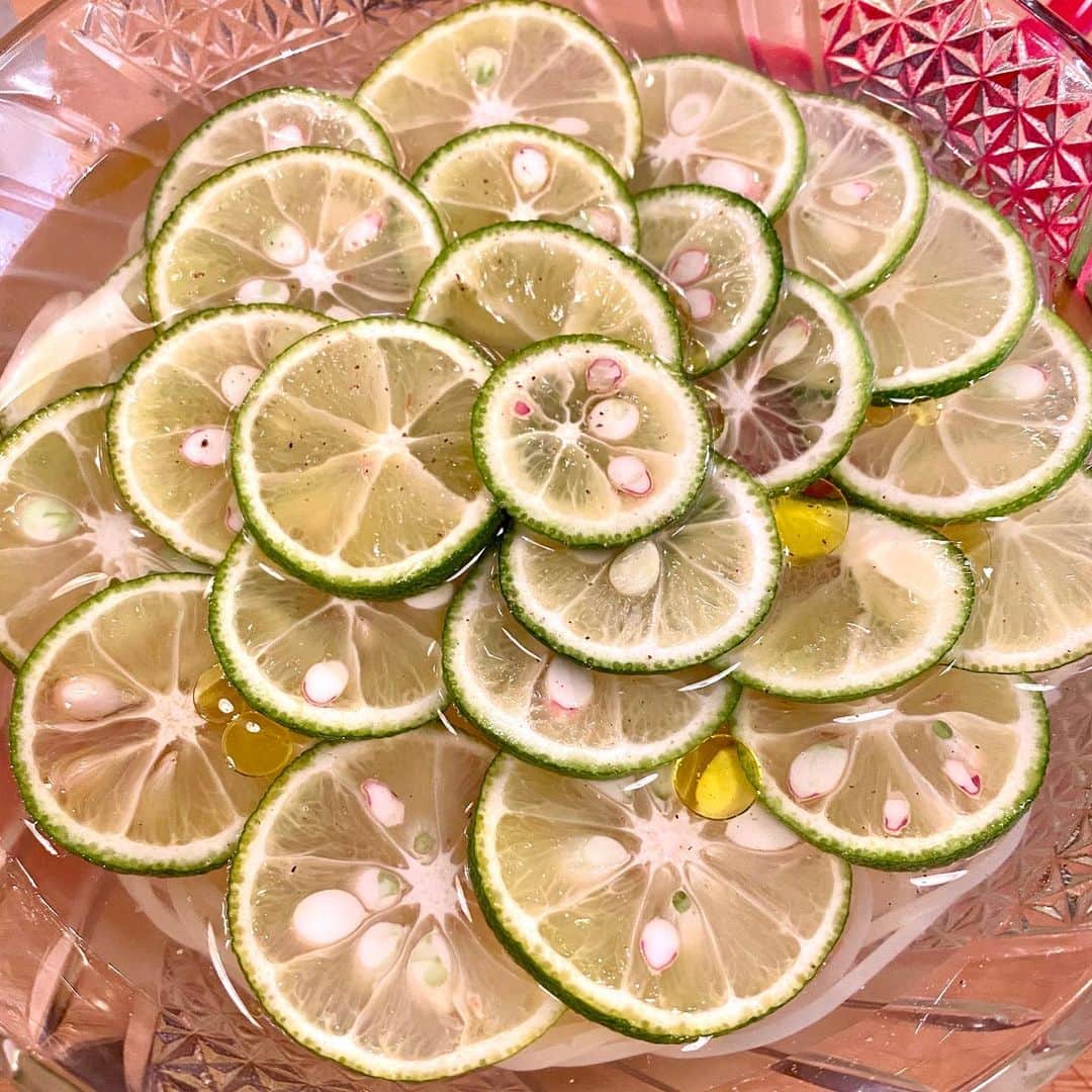 江口寿史のインスタグラム：「梅雨明けしましたね。 皆さん元気ですか。 スダチで覆われた麺類に目がないわたし。 スダチ蕎麦、スダチ素麺、スダチうどん。 スダチの冷麺もありじゃない？ どこかの焼肉屋さんやってくんないかな。 今日はといえばスダチのカッペリーニ食べたよ。 てなわけでぼくは元気です。」