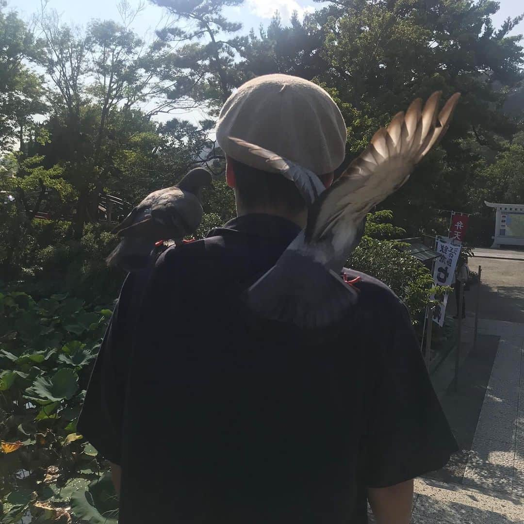 藤原時さんのインスタグラム写真 - (藤原時Instagram)「神社の鳥居をくぐるなり鳩が二匹、肩に止まってきた。「今日もお世話なります先生。今日はどこ行きましょう？」みたいな感じで当たり前の様に自然に。周りの人も境内の「名物おじさん」を見る目やった。右肩に至っては、もう一匹の鳩が「次、オレが止まるからな！次、オレが右肩に止まるからな」と奪い合ってた。 鳥居をくぐって帰路に着く。鳩が気まずくなって、寂しそうに飛んで行った。  #鳩に好かれる #昔から #Pigeon #神社　#ハトに人気　#ハトtheよしもと作ってくれ　#一番人気 #その前に藤子・F・不二雄みたいな帽子　#麻の　#夏すな」8月1日 15時22分 - fujisakitoki