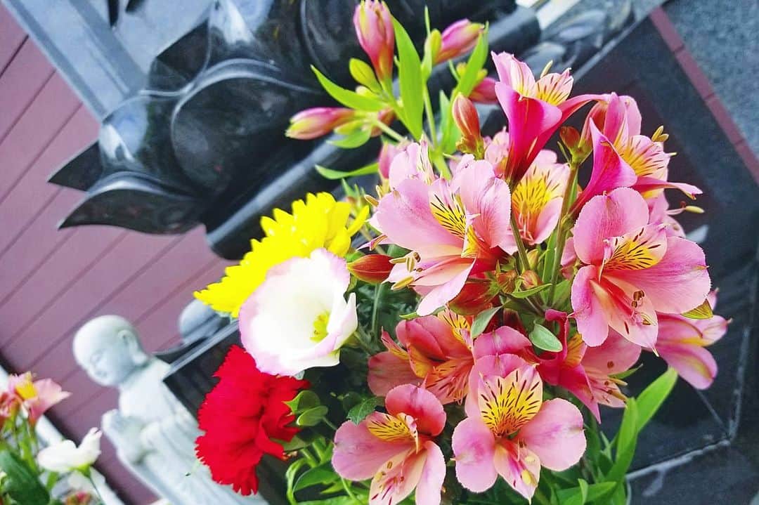 石関友梨のインスタグラム：「今日は父の命日お墓参り行ってきた🎀  何歳だったか覚えてないけど、幼い頃父と夏祭りに行ったことを思い出しました  屋台のチョコバナナ生クリームのクレープを上手に食べられなくて、口の周りも手も洋服も全身ベチョベチョにしながらも肩車してくれたり手を繋いで歩いてくれました  1年前はお互い辛くて大変だったけど 今はもうあの頃の良い思い出しか出てこなくなった  #父への愛情 #娘への愛情」