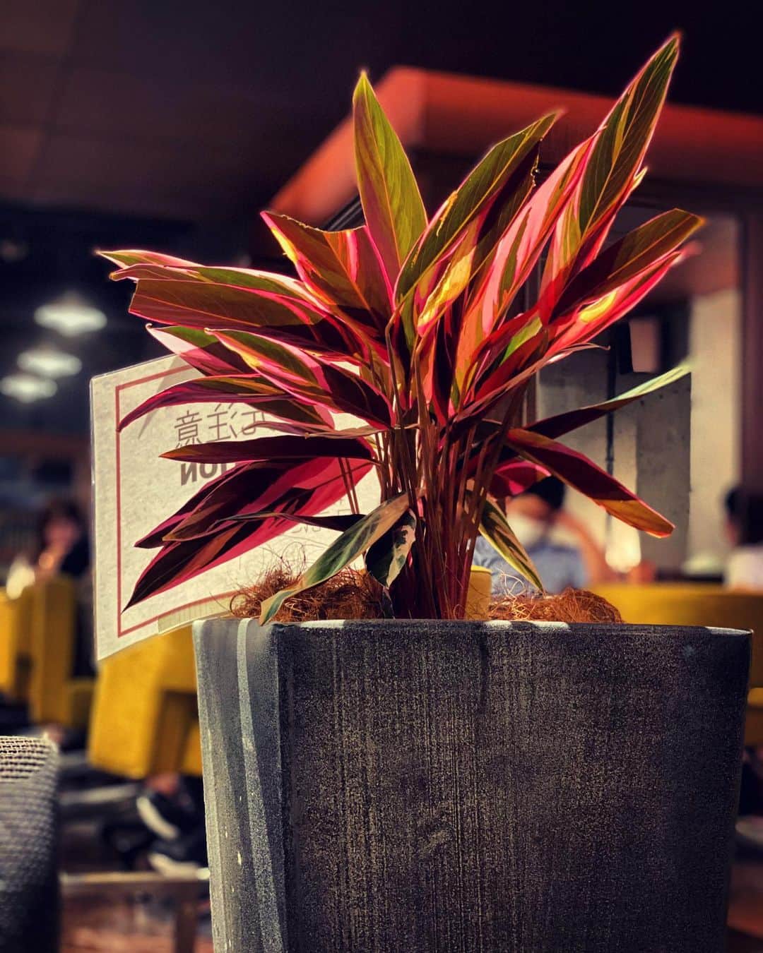 宍戸開のグルメインスタ