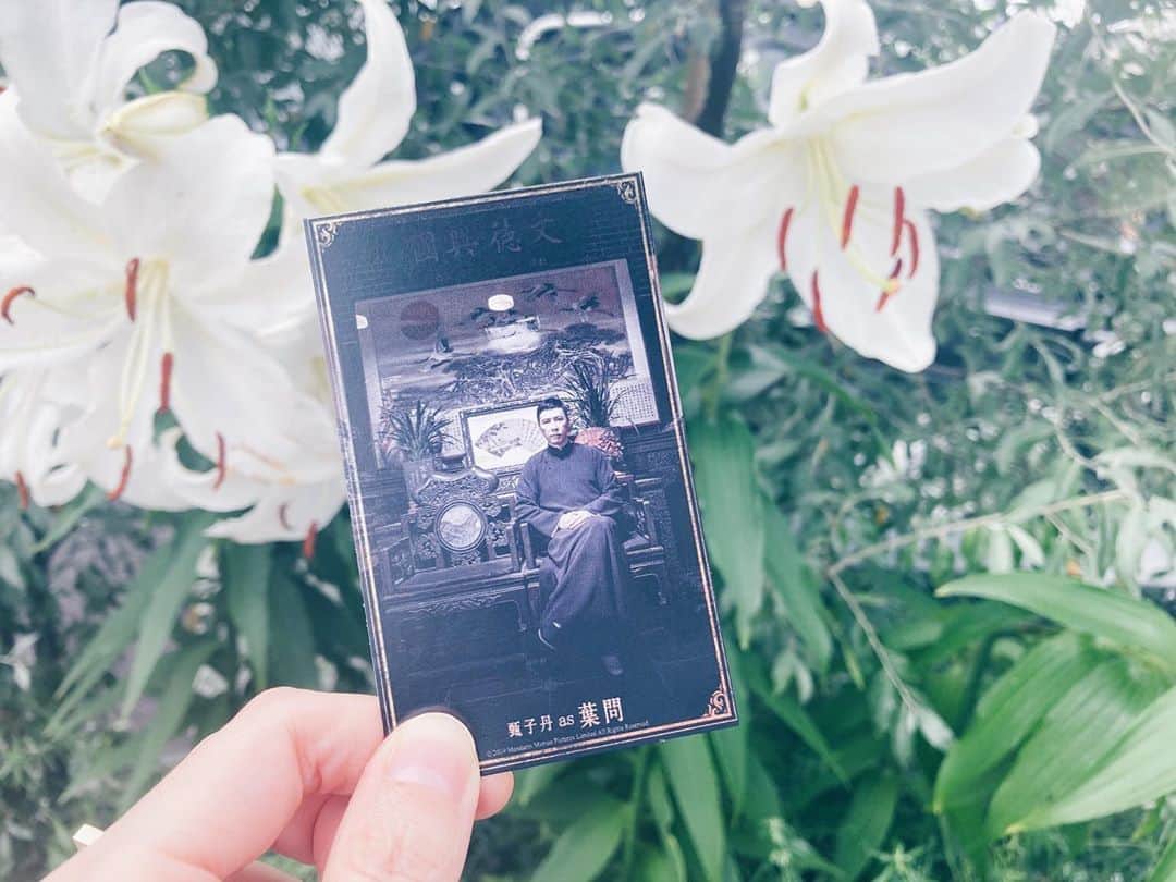 藤野可織のインスタグラム：「７月のある日。イップ師父との思い出。」