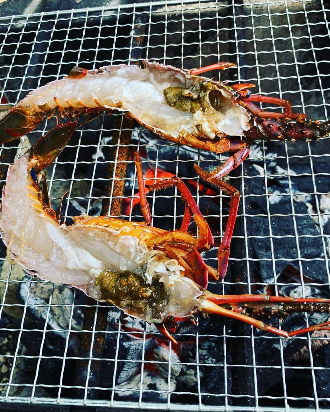 HAYATOさんのインスタグラム写真 - (HAYATOInstagram)「#BRIDGET   #HAYATO   #japan  #岐阜県  #東濃  #中津川  #付知  #BBQ  #今は我慢の時  #MASAから鳥羽の新鮮な魚介をGET  #伊勢海老  #日本酒  #獺祭  #山  #川  #田舎  #地元  #仲間  #NO WHERE  #観光  #観光は県内で  #自然  #歴史  #景色　  #風景  #写真  #自然は田舎の財産  #自然を守ろう  #grateful」8月1日 16時38分 - bridget_hayato