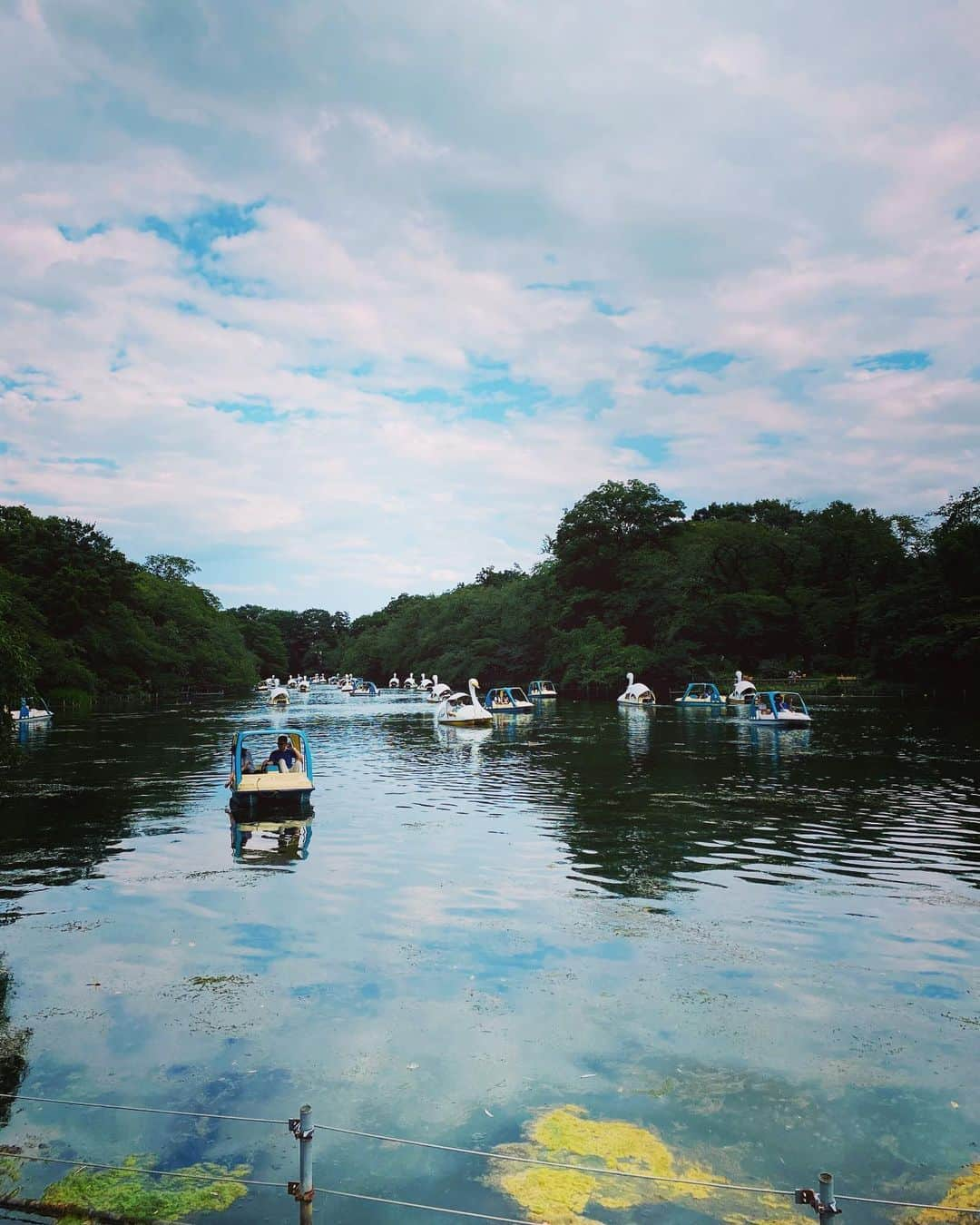 美川憲二さんのインスタグラム写真 - (美川憲二Instagram)「吉祥寺、井の頭公園をお散歩よーー🚶‍♀️💦💦🌳🌳🌳🌳🌻🌻🌻🌻🌻🌿🌿🌿🌿🌿 気持ちよかぁ〜☺️✨✨✨✨ #井の頭公園散歩  #夏の新緑は気持ちいいもんだ  #ほっこりタイム  #美川憲一 #美川憲二 #ヒデコフランセスカ #オネェ系 #ものまね」8月1日 16時31分 - mikawakenji