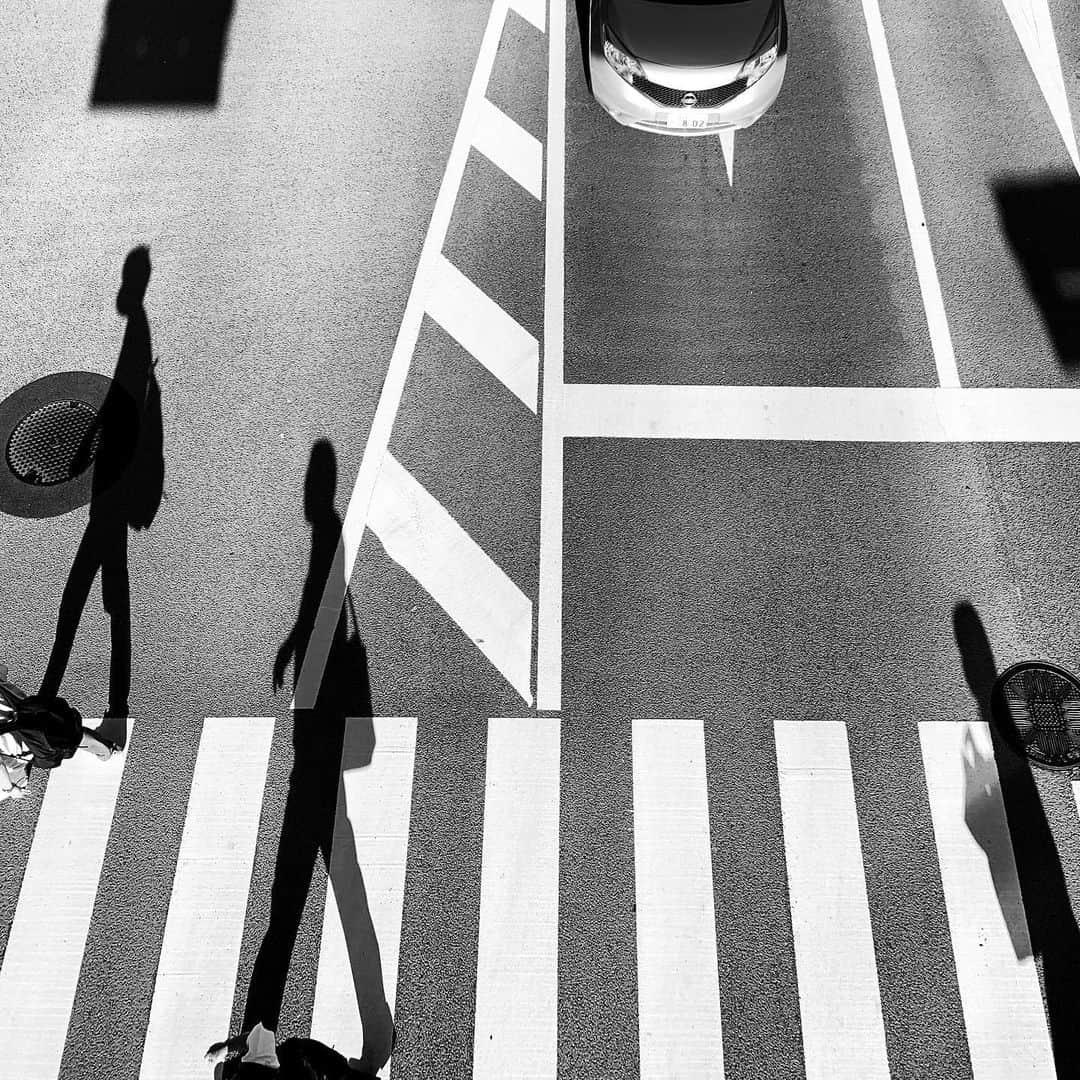 naotakeのインスタグラム：「横断歩道 - A crosswalk / X-T2 & Snapseed, 20200802 . . 好天に恵まれ、久しぶりのシャドーハンティング。 . . #spicollective #royalsnappingartists #infamous_family #rsa_main #infinity_photo_cult #2_fineart #jp_gallery_member #jp_gallery_bnw #trb_bnw #wp_bnw  #bnw_life #bnwlife_member #bnw_life_shots #bnw_captures #world_bnw #top_bnw #team_jp_ #team_jp_モノクロ #ig_energy_bw #ig_nihon #streetphotographybnw #igersjp #blackandwhite #bnw #bnwphoto #monochrome #bw #bnwphotography #今日もx日和 # fujifilm」
