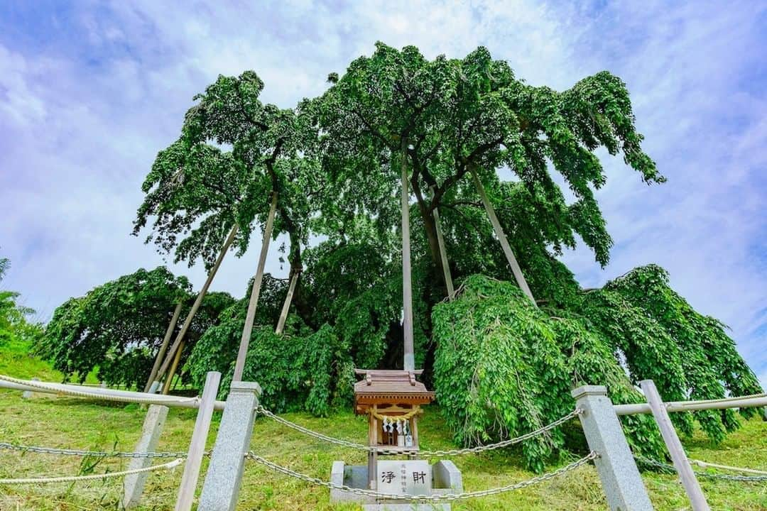 福島県のインスタグラム