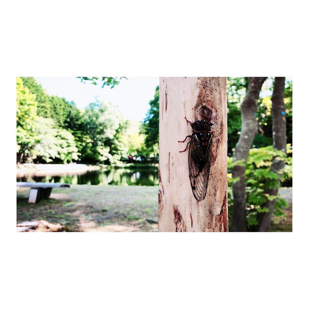 脇田唯のグルメインスタ