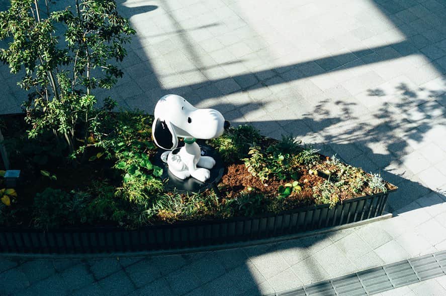 SNOOPY MUSEUM TOKYOのインスタグラム：「#snoopymuseumtokyo #schulzmuseum #snoopy #スヌーピーミュージアム #スヌーピー」