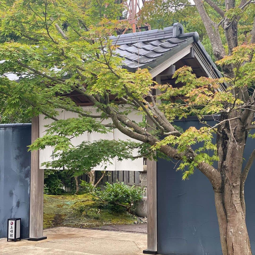 Hiroe Hiranoさんのインスタグラム写真 - (Hiroe HiranoInstagram)「伊豆半島にある温泉お宿へ♨️﻿ 1000年以上の歴史ある場所。﻿ ﻿ 丁寧に手入れされている﻿ 緑いっぱいの日本庭園🌿🌳﻿ ﻿ チェックインの時に﻿ ここのテラスでお茶を🍵﻿ わたしのスーパーマンと😎✨  アメリカ人ですが、情緒溢れる 日本の文化や歴史がとてもお好きで💎 おかげで私も学びが多々あります。 ﻿ 温泉やお食事もすごく良かったので、﻿ またシェアしますね☺️ ﻿  こういう部屋数の少ないブティック系やお宿が好み。　　 大人の空間でした✨  両親を連れていきたいなー🌟﻿ 素敵な場所は、大切な人と共有したい💓﻿ ﻿ 旅ってなんて心を豊かにしてくれるんだろう。 旅は自分の人生に欠かせないGOOD TOOL✌️﻿ ﻿ 早く安心安全に、﻿ 国を行き来できる時が楽しみだね🌈﻿ ﻿  #japan #日本　#温泉　#日本庭園﻿ #結婚記念日　#anniversarytrip  #伊豆半島」8月1日 17時52分 - hiroe_hirano