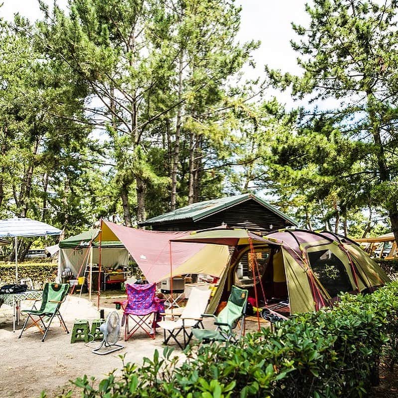 キャンプ情報サイト［ランタン］さんのインスタグラム写真 - (キャンプ情報サイト［ランタン］Instagram)「CAMP SMILE STYLE ／ ロゴスの2ルームテントを 丸ごとリビングに！ ＼ いろんなキャンパーのキャンプスタイルを現地取材と一般キャンパーからの投稿で数多く掲載してます。 . . 詳しくは @lantern.camp webサイトをご覧ください . . #camp #camping #outdoor #travel #trip #lantern_smile #nature #キャンプ #キャンプ用品 #アウトドア #テント #自然 #旅行 #キャンプ初心者  #キャンプ好きな人と繋がりたい #camper #外遊び #ファミキャン #ファミリーキャンプ #LANTERN #ロゴス #LOGOS #マイアミ浜オートキャンプ場 #夏キャンプ #キャンプスタイル #犬とキャンプ #犬 #子供とお出かけ部 #犬連れキャンプ」8月1日 17時54分 - lantern.camp