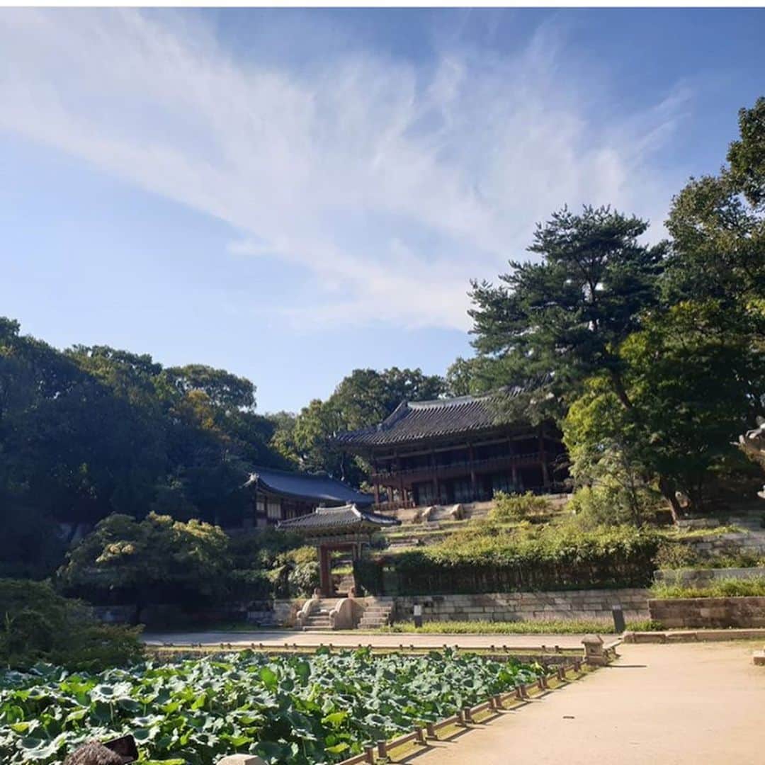 スコット・ローウェルさんのインスタグラム写真 - (スコット・ローウェルInstagram)「Thanks for showing us this amazing Palace, @heeeeeeu_ ! I miss my Hanbok. #repost @heeeeeeu_  ............................ #throwback w. @scolo222 Hanbok time on such a hot sunny day, the new emperor Colby showed up in Changdeok palace!」8月2日 3時41分 - scolo222