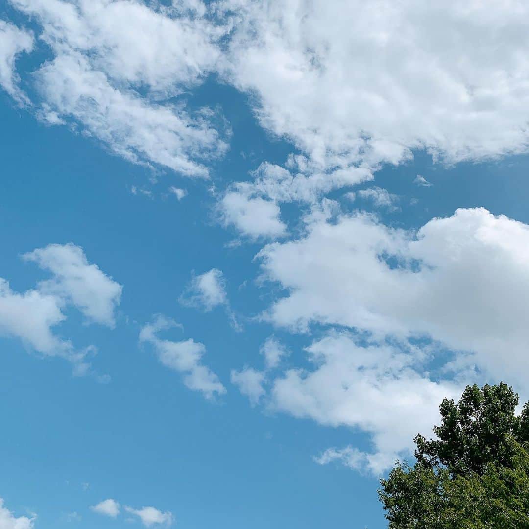 佐藤弥生さんのインスタグラム写真 - (佐藤弥生Instagram)「今までこんなに待ってた青空があっただろうか。 今年は絶対日焼けをしないと決めてたけど、半袖短パンでリュックを背負って息子と公園に飛び出した今日の日。 ・ 夏が始まる。 #梅雨明けが待ち遠しい」8月1日 19時49分 - sato__yayoi