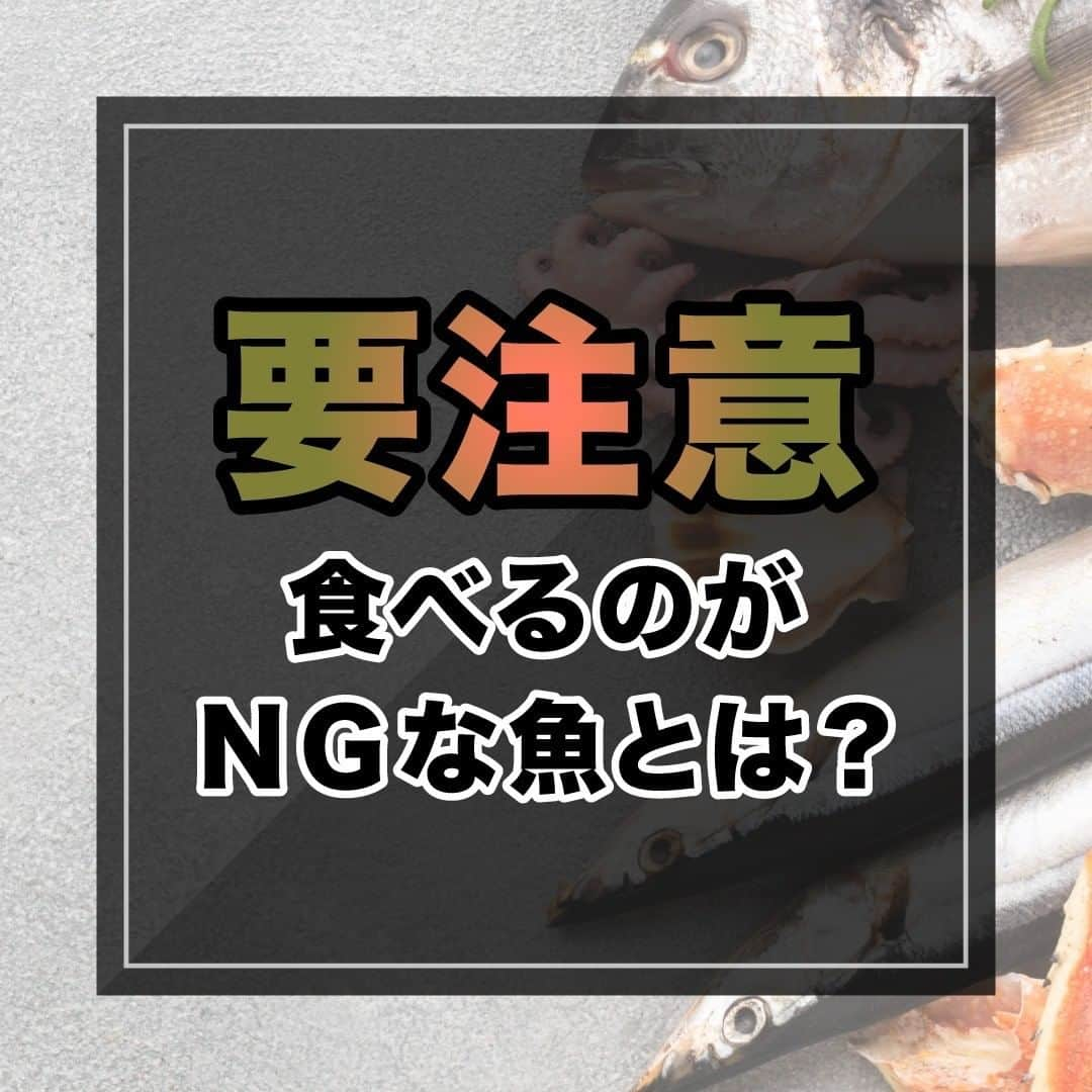 山本義徳のインスタグラム