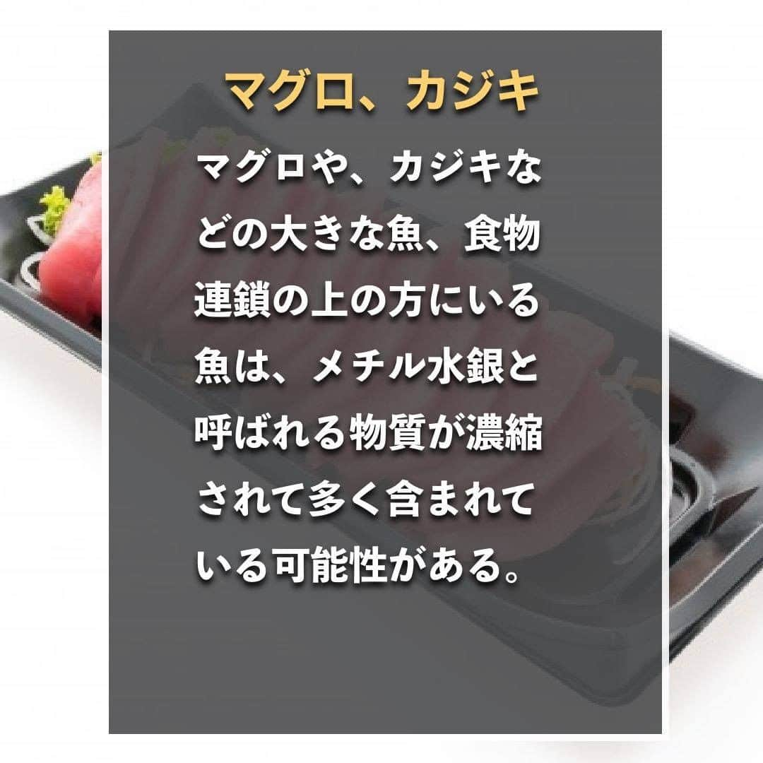 山本義徳さんのインスタグラム写真 - (山本義徳Instagram)「【要注意！食べるのがNGな魚とは】  みなさんは、よく魚を食べられるかと思うが、 あまり食べない方が良い魚があるのはご存知だろうか？  今回は、少し注意した方が良い魚について解説していく。 是非参考にしていただけたらと思います💪  #VALX #魚 #workout #栄養 #バルクアップ #筋トレダイエット #筋トレ初心者 #筋トレ男子 #workoutlife #ボディビル #筋肉女子 #ダイエット方法 #筋トレ好きと繋がりたい #筋トレ好き #トレーニング好きと繋がりたい #トレーニング男子 #ダイエット食品 #ダイエット効果 #トレーニー女子と繋がりたい #ボディビルダー #筋スタグラム #トレーニング大好き #トレーニング初心者 #トレーニング仲間 #エクササイズ女子 #山本義徳 #筋肉担当 #筋肉男 #筋肉増量 #筋肉増量」8月1日 20時00分 - valx_kintoredaigaku