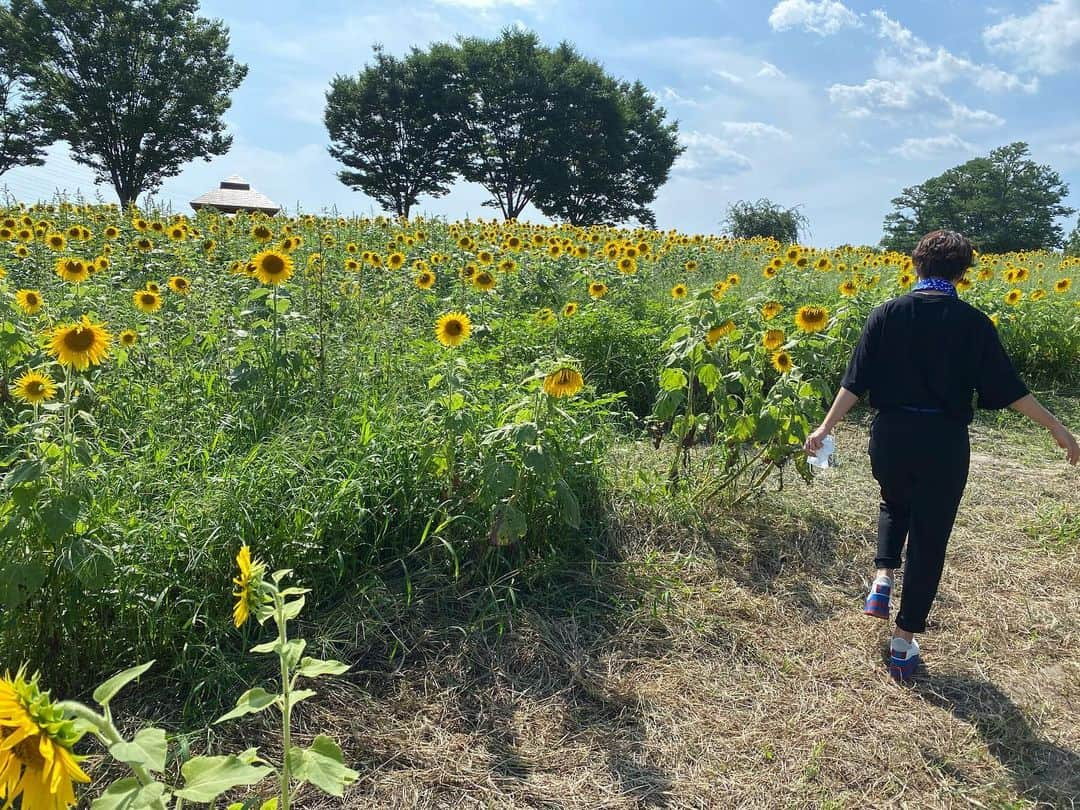 伊藤さつきのインスタグラム：「8月の威力🌻 近くにひまわり畑発見した日🌻 #35度#ひまわり畑#暑い#夏 #summer#august」