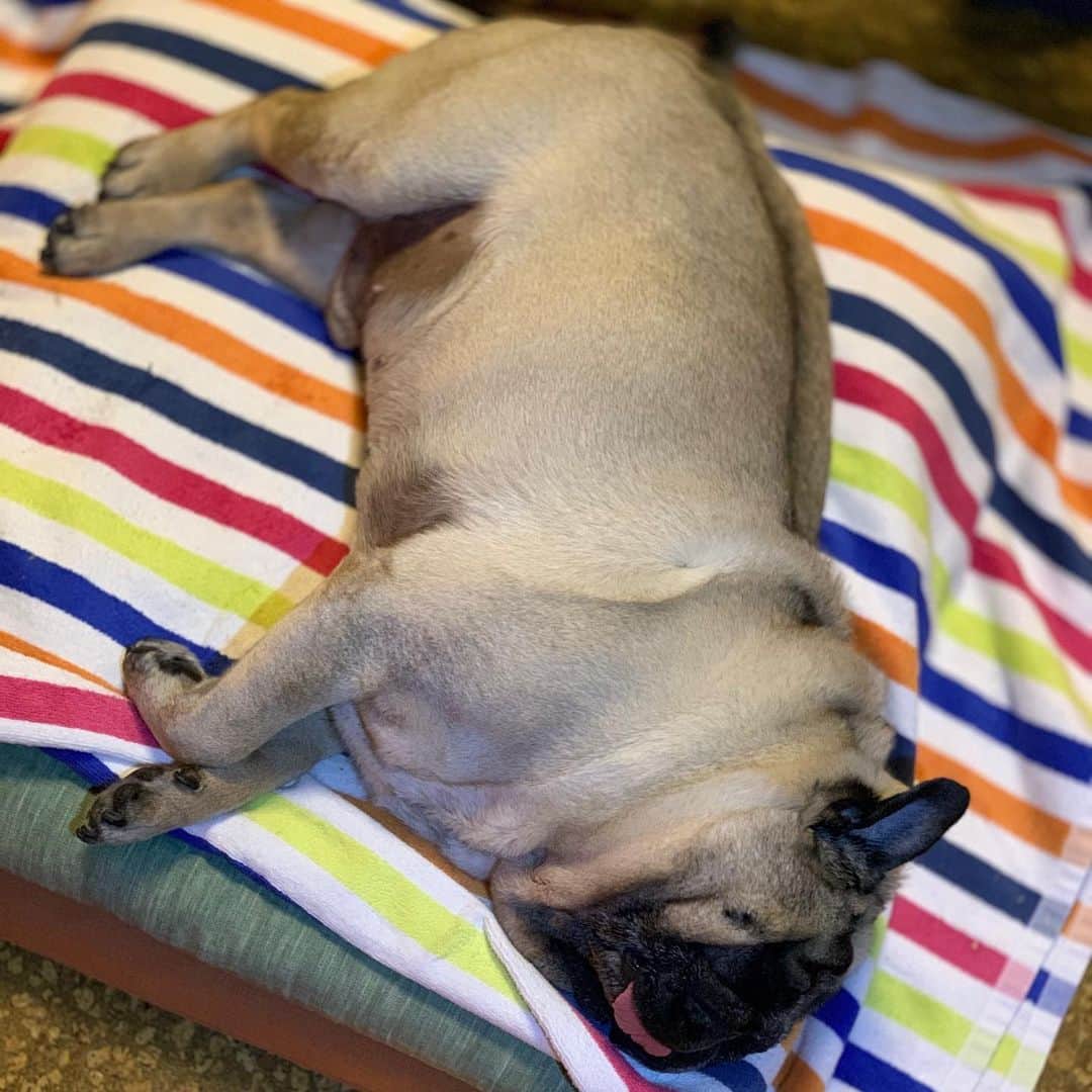 gontaのインスタグラム：「I'm tired today.  Many nice friends Good night.🏥❤️😊🙏」