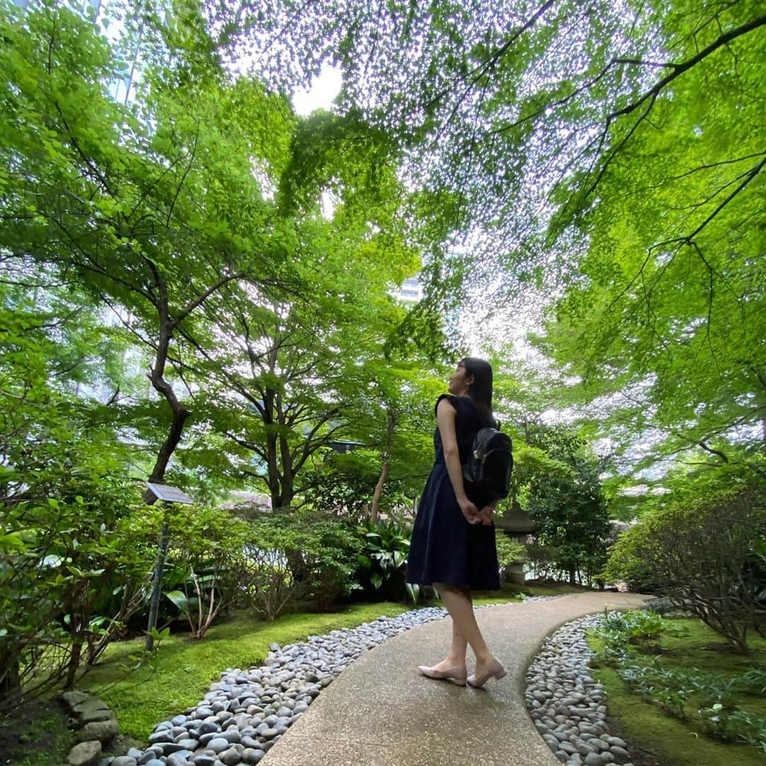 藤原美歩のインスタグラム：「久しぶりに家を出て夏を感じました🌟﻿ ﻿ 昔はあんなに煩いなぁと思ってたセミの声も、今は夏が来たなと思って嬉しく感じるようになりました笑﻿ ﻿ ちなみにこの写真を撮ってる最中に蚊🦟に20箇所刺されました😭﻿ ﻿ ちなみに今年に入って合計40箇所刺されました‥﻿ O型は辛いですね💦﻿ ﻿ 足が虫刺されの跡だらけなので皮膚科に行こうか迷っています‥﻿ 虫刺されで皮膚科に行ったことがある方きれいに治るのか教えていただきたいです🙏﻿ ﻿ ﻿ ﻿ ﻿ ﻿ ﻿ ﻿ ﻿ ﻿ #サロンモデル #サロモ #サロン撮影 #作品撮り #前髪パーマ #ヘアアレンジ #撮影モデル #撮影データ #ヘアアレンジ動画 #スタイリング #スタイリング動画#カフェ巡り好きな人と繋がりたい #カフェ巡り#カフェ好きな人と繋がりたい #外出自粛中の過ごし方 #iphone11 #公園フォト #公園コーデ #公園散歩 #自粛生活 #自粛生活を楽しく過ごす #庭園 #シェラトン都ホテル東京」