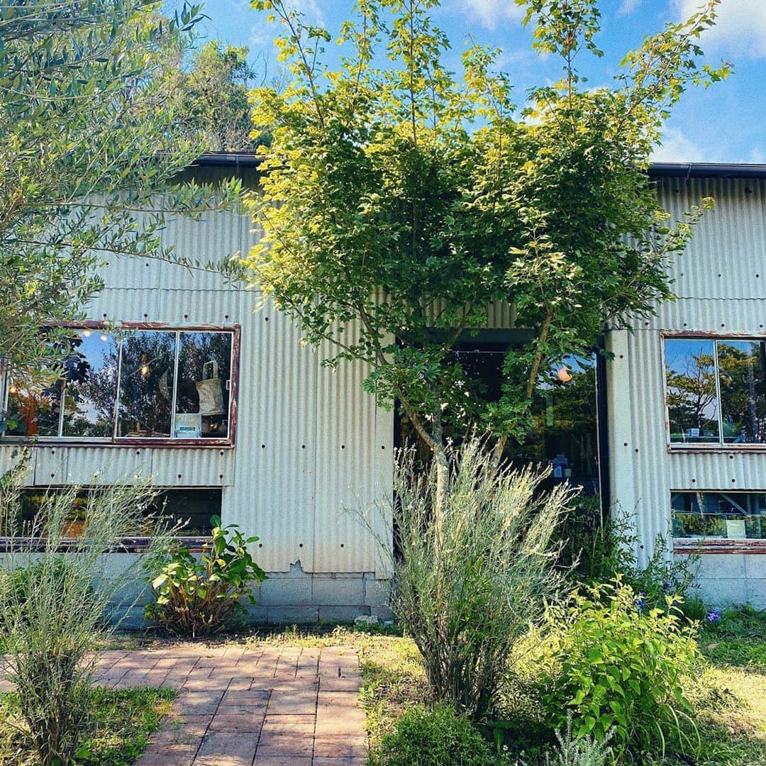 i_am_romikoのグルメインスタ