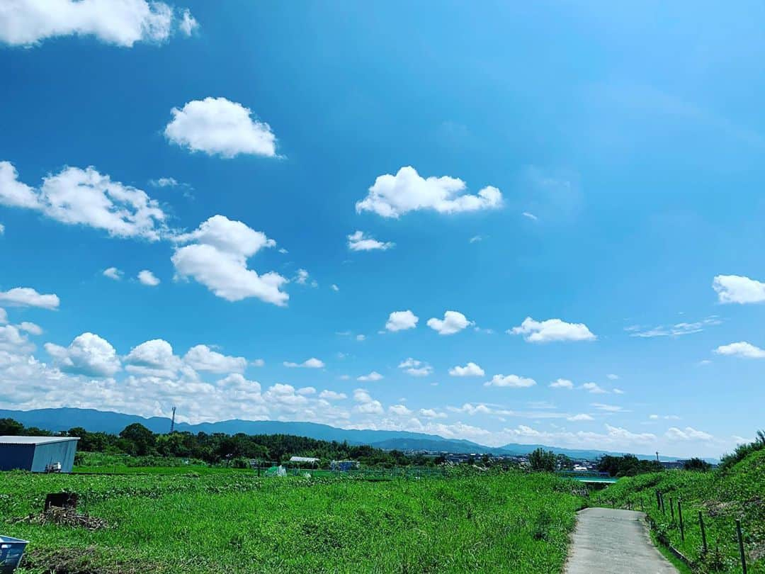 平部雅洋さんのインスタグラム写真 - (平部雅洋Instagram)「やっと来たな。梅雨の蒸し暑さを、とても“夏”とは呼べない。真昼の陽光を全身で浴びながら、原付で田んぼ道を駆け抜けると、田舎暮らしの不便さも少しは愛おしく思える。 待っていたぜ夏。 年々、好きになるぜ夏。 喧しい蝉の声に風情を感じ、また今年も何かを期待してしまうのだ。  明日、約半年ぶりにお客さんの前で演奏する。 うまくやれるかな。  2020.8.1  #8月1日 #画像はうちの近くの田んぼ道」8月1日 21時04分 - hirabechan_rggr