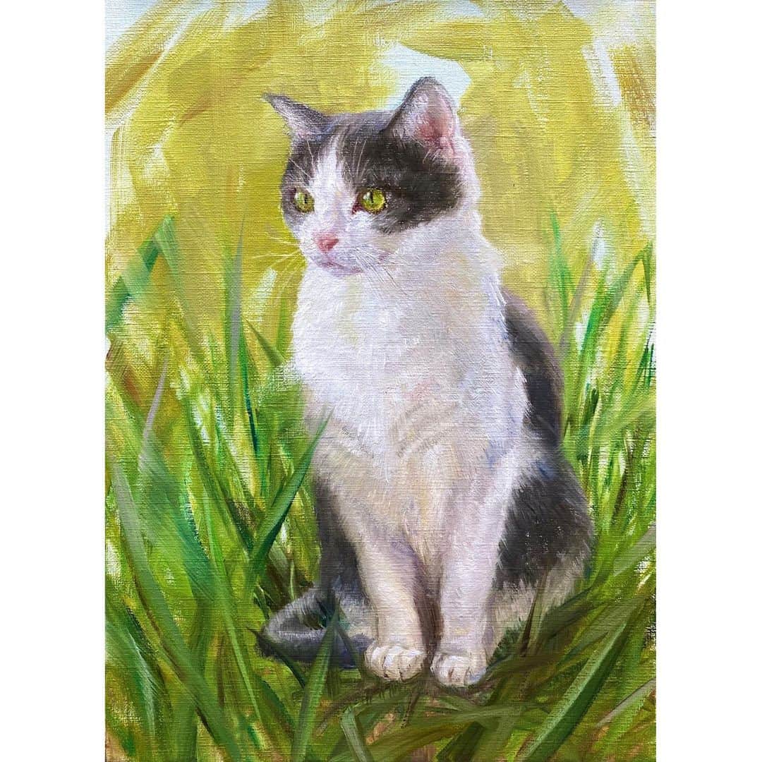 古賀陽子のインスタグラム：「“ニンフを見つめる猫”  #cat #猫 #ねこ  #アート #アーティスト #アートワーク #画家 #美術館 #作品 #油絵 #絵画展 #絵画のある暮らし #ギャラリー #個展 #神戸 #exhibition #exhibit #art #instaart #instaartist #artist #artwork #gallery #stilllife #painting #yokokoga #古賀陽子 #academic #academicart #academic_artworks」