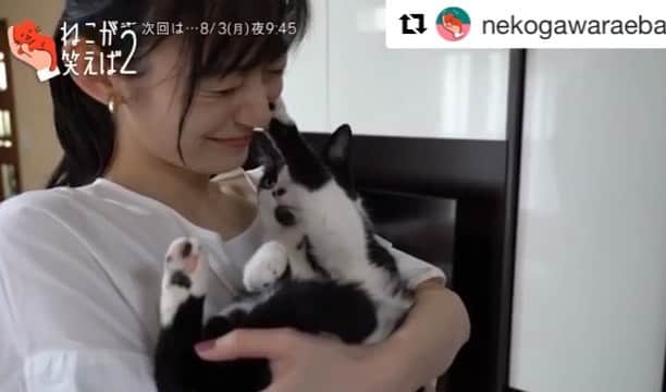 中田絢千のインスタグラム：「8月の一大おしらせです🐈📢  WOWOWのネコ番組『ねこが笑えば2』に 我が家のネコず（びじゅ🌑／める🐼／とと🐧） と、出演します。  私、本当にネコという生き物が好き。 生き方やまなざしに惹かれて、憧れる。 日々豊かさとユーモアをくれている愛してやまない彼らと、大好きな番組に取材していただくなんてもうこの上なく幸せ…！  （終始いつも以上にゆるい私に加えて、ゆるくふつーの我が家も初公開してます。笑）  8/3(月)21:45〜 放送です。 あさって。みてね！！  #Repost @nekogawaraeba with @get_repost ・・・ 今日から8月ですね！ 8/3（月）21:45～# 8放送です✨ 盛り沢山な内容になっています！ コムタンも登場ですよー！ · · @megmilk5628  @ayaka_nakata  @m.ju_n_page  @anicas_jp  • • • #猫 #ねこ #ネコ #cat #cats #catstagram #猫のいる暮らし #ねこすたぐらむ #ねこと暮らす #猫好きさんと繋がりたい #猫好き #愛猫 #wowow #ねこモテ #ねこが笑えば」